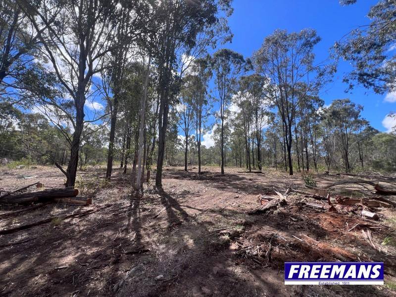 316 Wattle Camp Road, Wattle Camp For Sale by Farmbuy.com - image 30