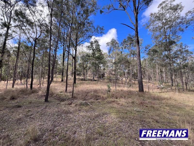 316 Wattle Camp Road, Wattle Camp For Sale by Farmbuy.com - image 25