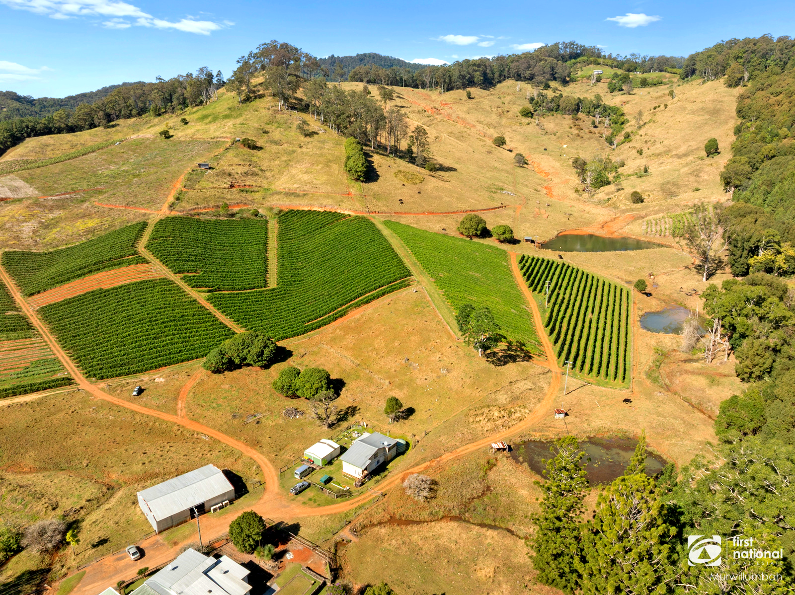 517 Upper Burringbar, Upper Burringbar For Sale by Farmbuy.com - image 3
