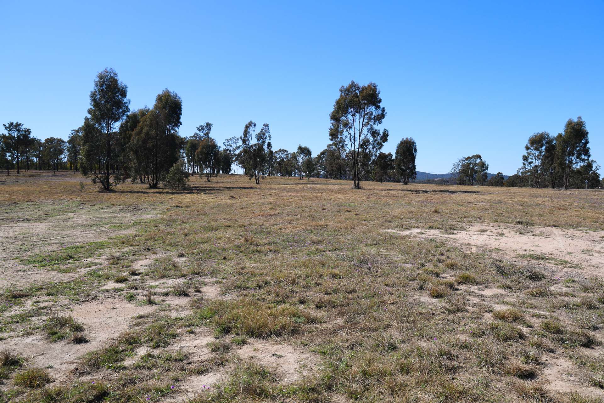 LOT 2 Cypress Pine Road, Coolmunda For Sale by Farmbuy.com - image 20