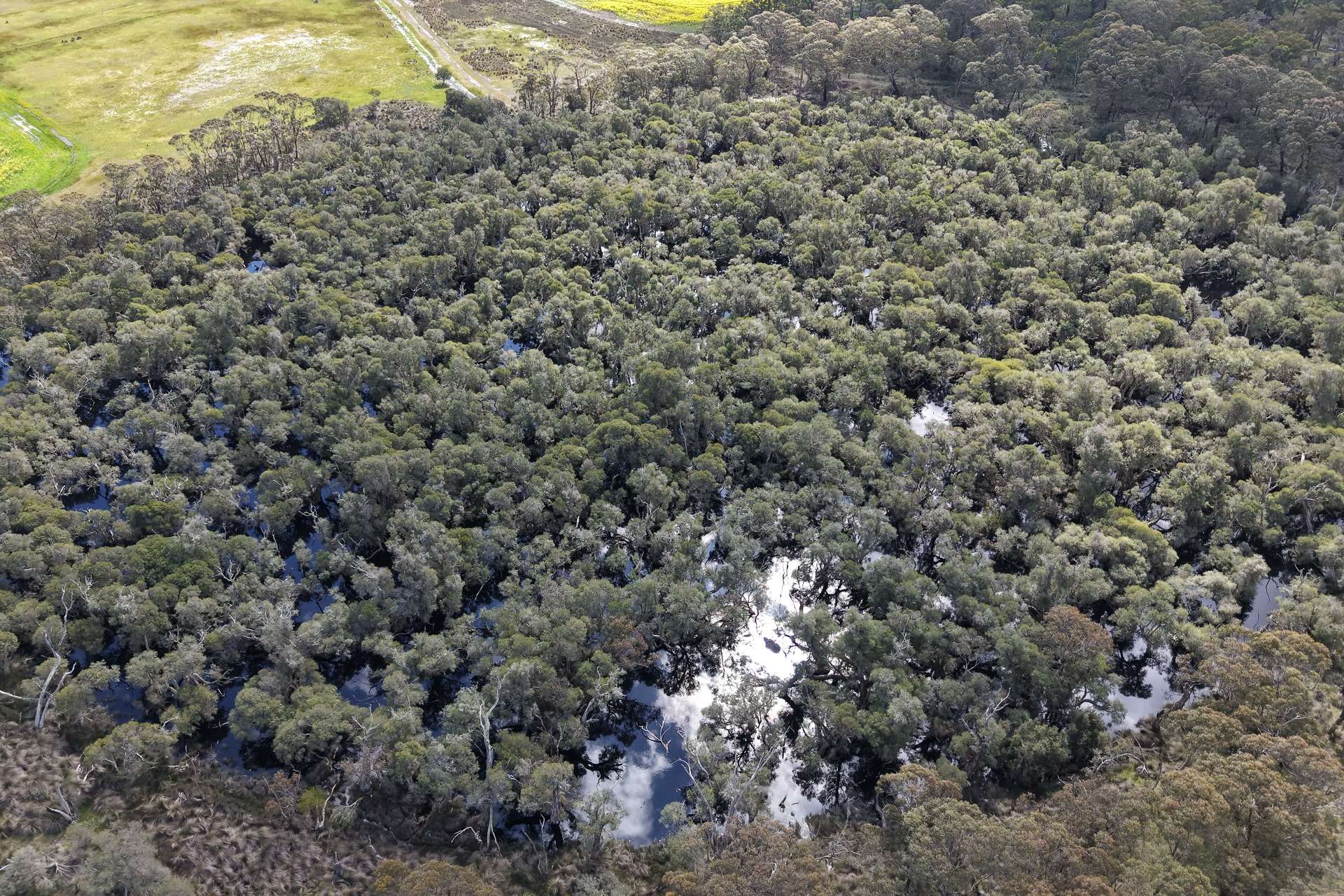 171 Kwornicup Road, Forest Hill For Sale by Farmbuy.com - image 17
