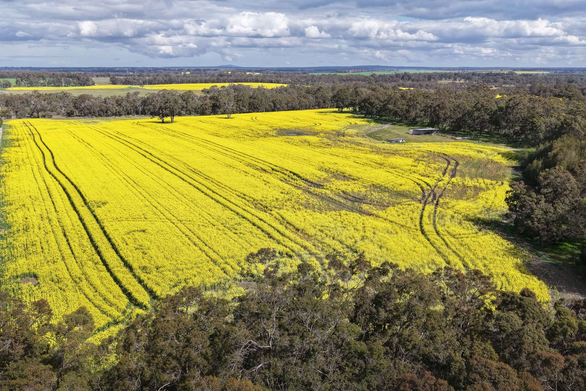 171 Kwornicup Road, Forest Hill For Sale by Farmbuy.com - image 2