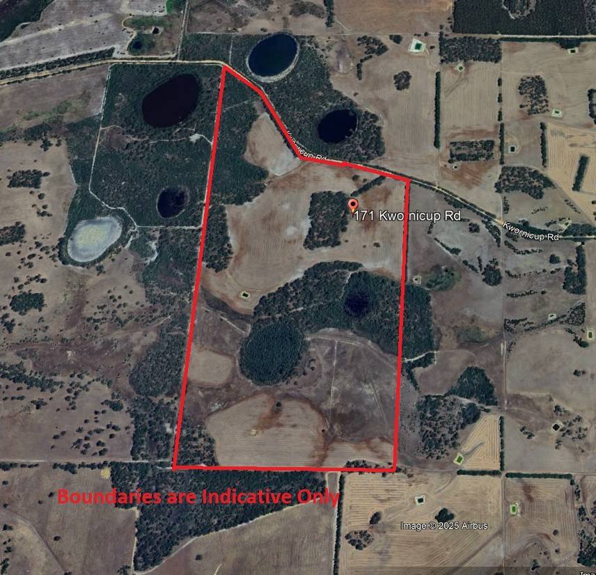 171 Kwornicup Road, Forest Hill For Sale by Farmbuy.com - image 18