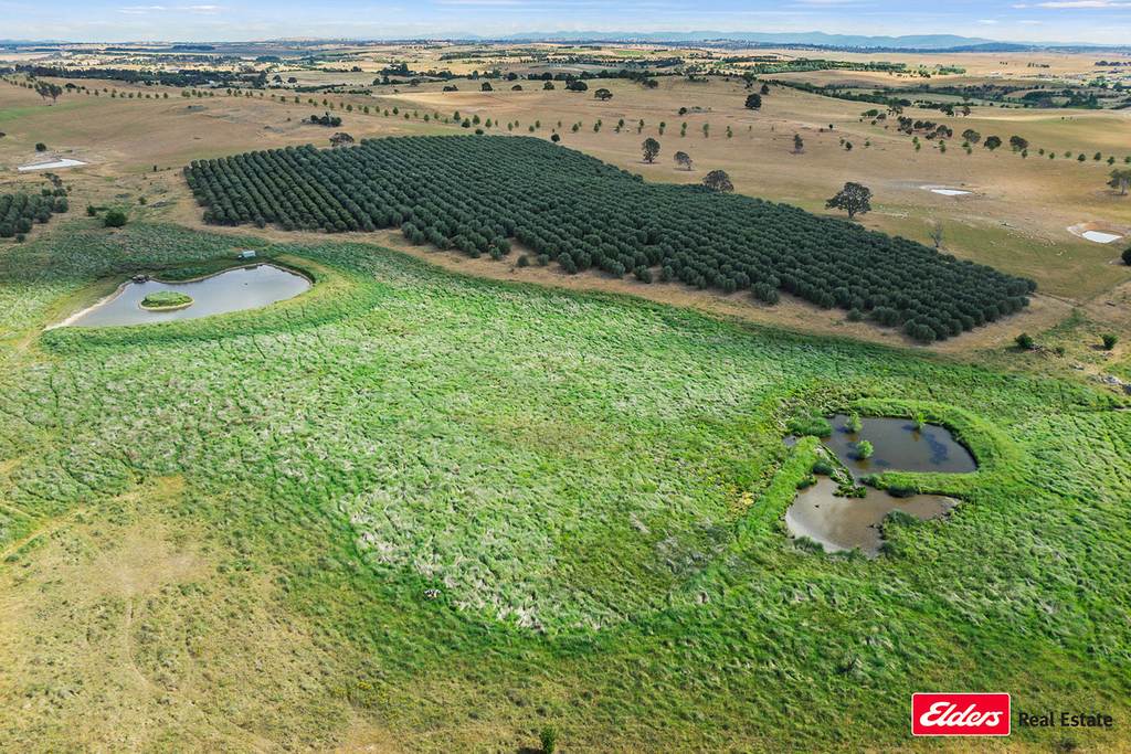 433 Hardwicke Lane, Yass NSW 2582