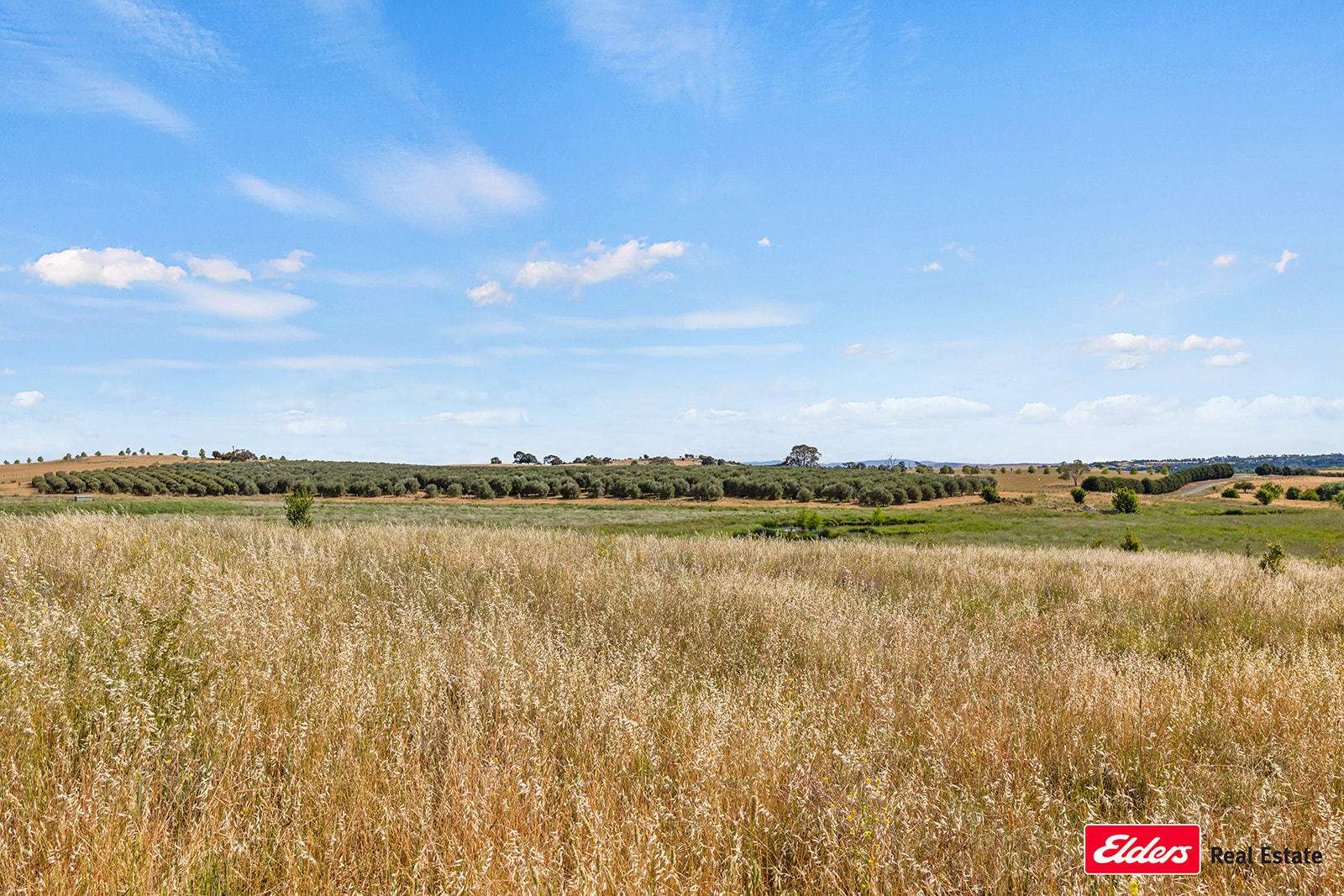 433 Hardwicke Lane, Yass Sold by Farmbuy.com - image 8