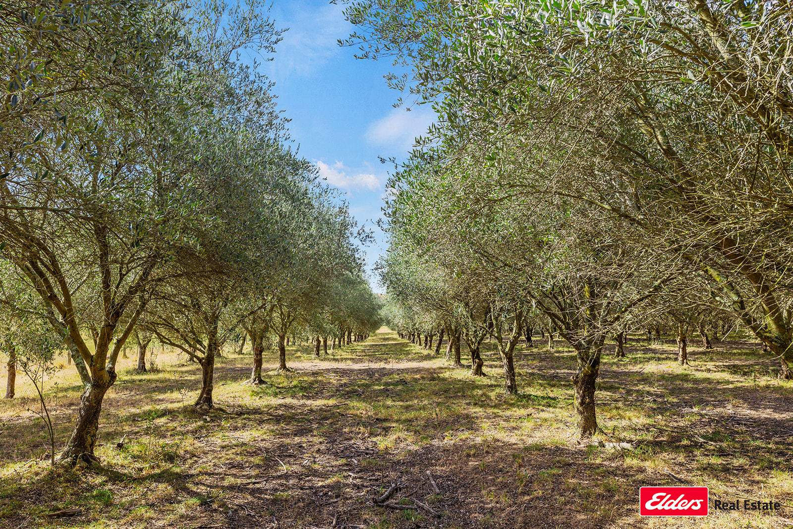 433 Hardwicke Lane, Yass Sold by Farmbuy.com - image 4