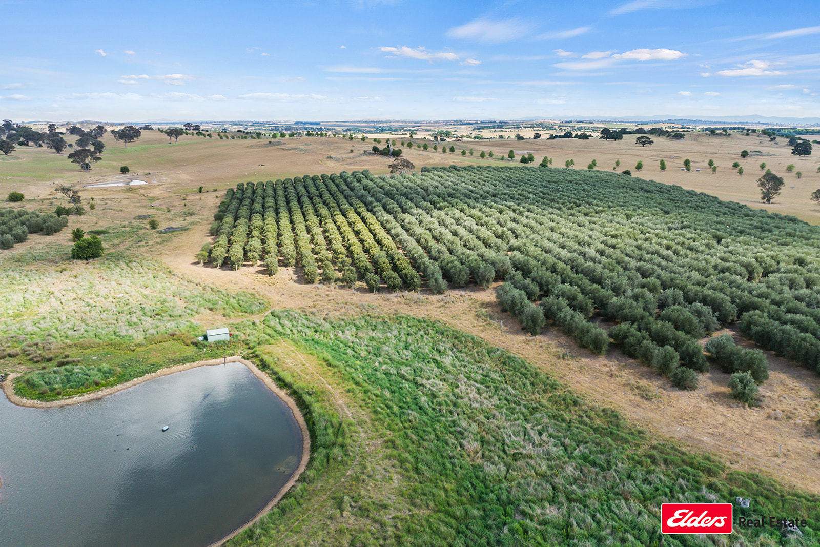 433 Hardwicke Lane, Yass Sold by Farmbuy.com - image 13
