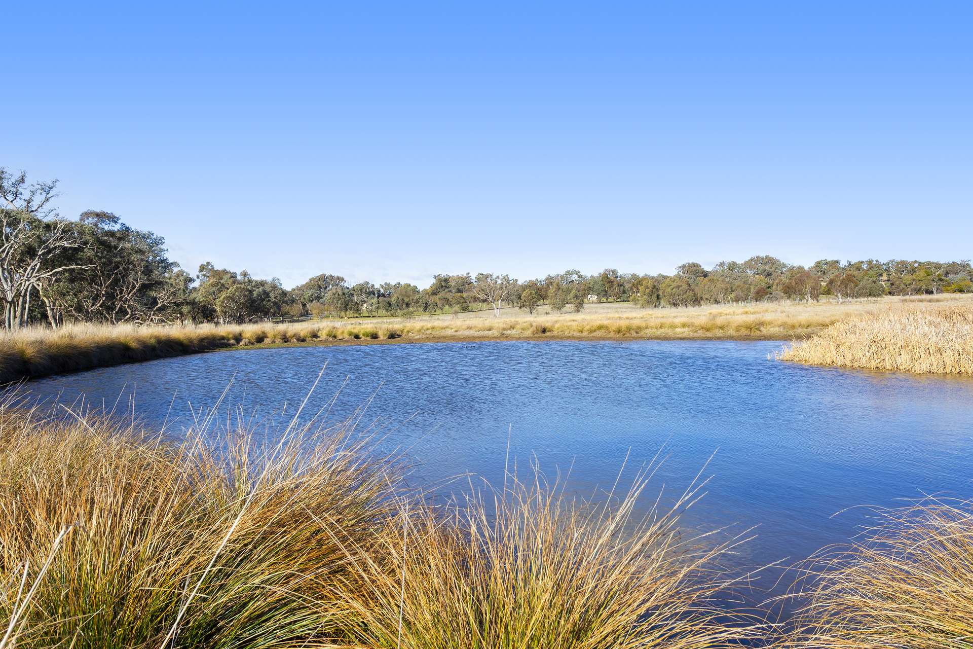 378 Hillview Drive, Murrumbateman For Sale by Farmbuy.com - image 28