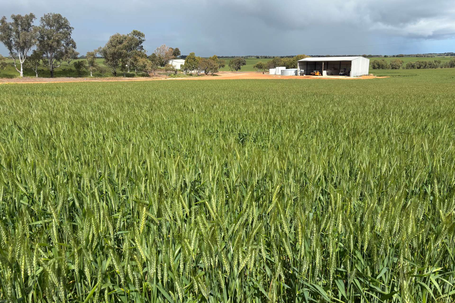 1396 Tabletop Road, Mount Horner For Sale by Farmbuy.com - image 6