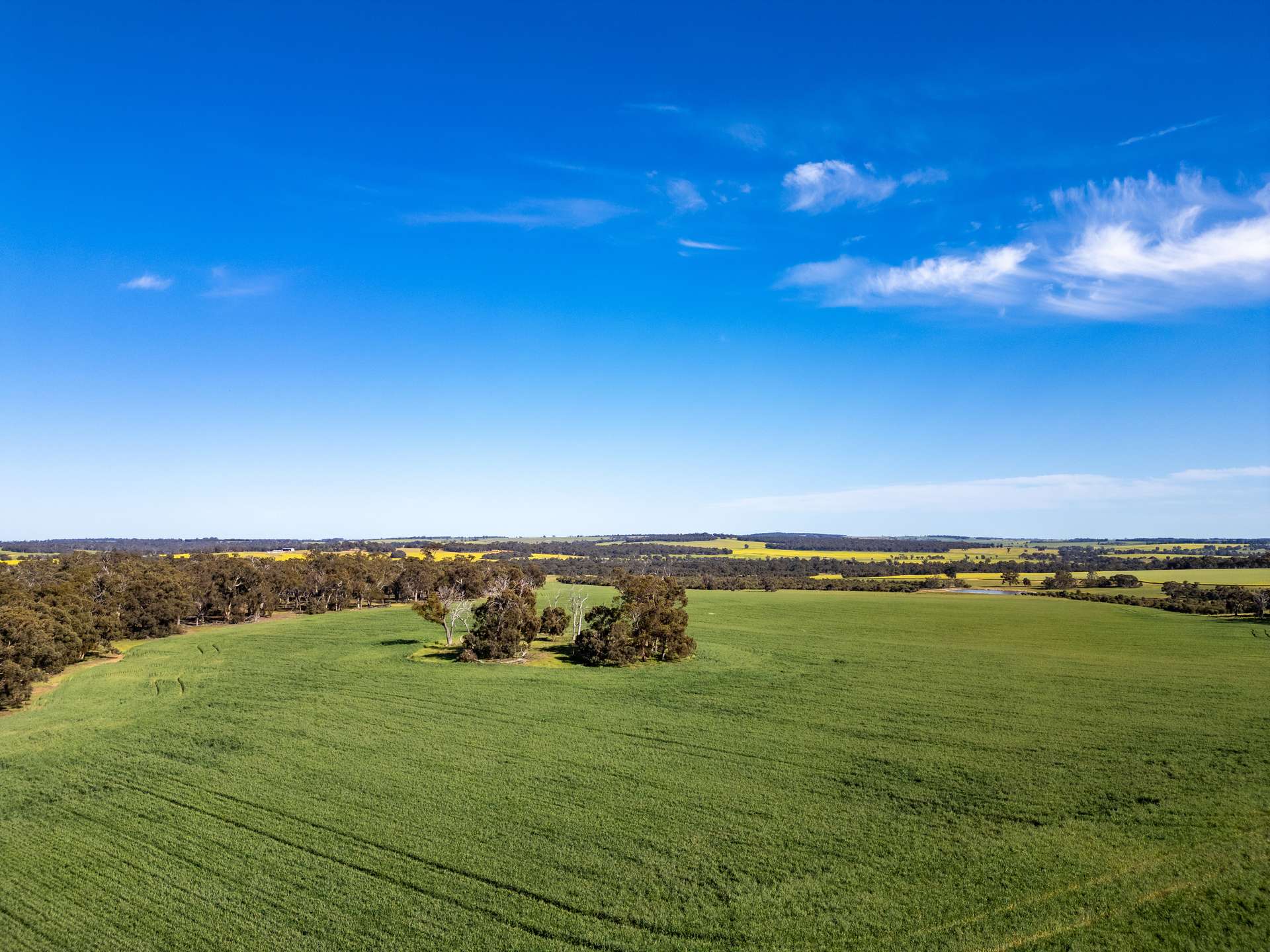 "The Brook" 266 Tetlow Road, Cranbrook Sold by Farmbuy.com - image 8