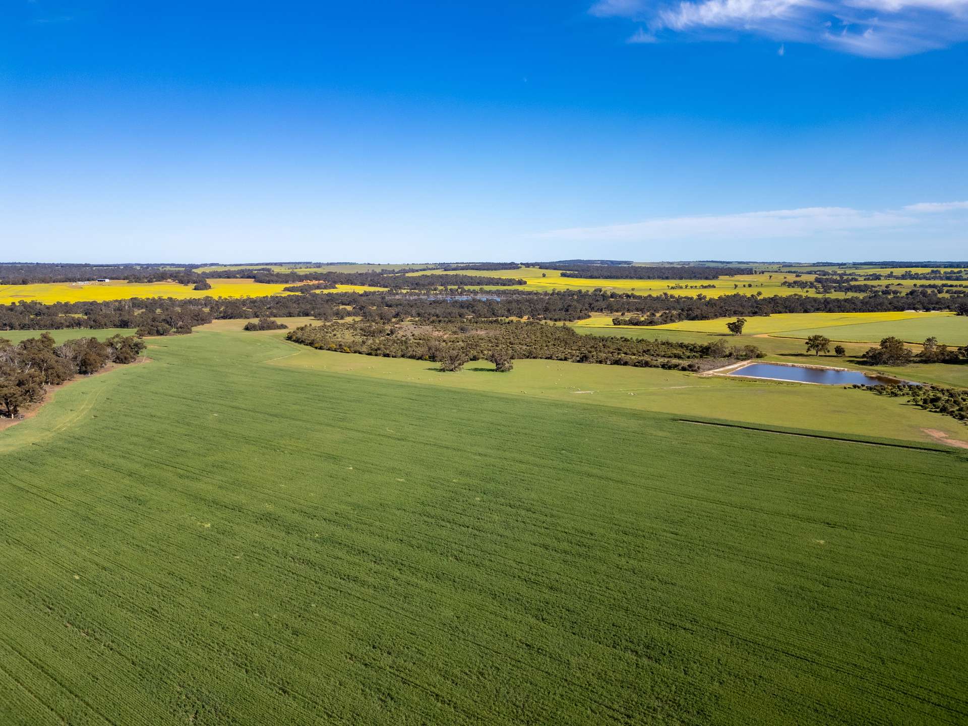 "The Brook" 266 Tetlow Road, Cranbrook Sold by Farmbuy.com - image 9