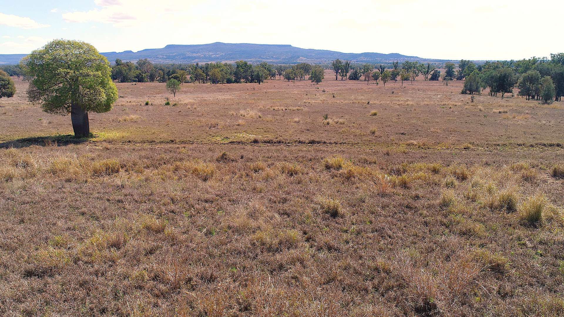 'Bendoba' 1933 Kooragan Road, Injune Sold by Farmbuy.com - image 28