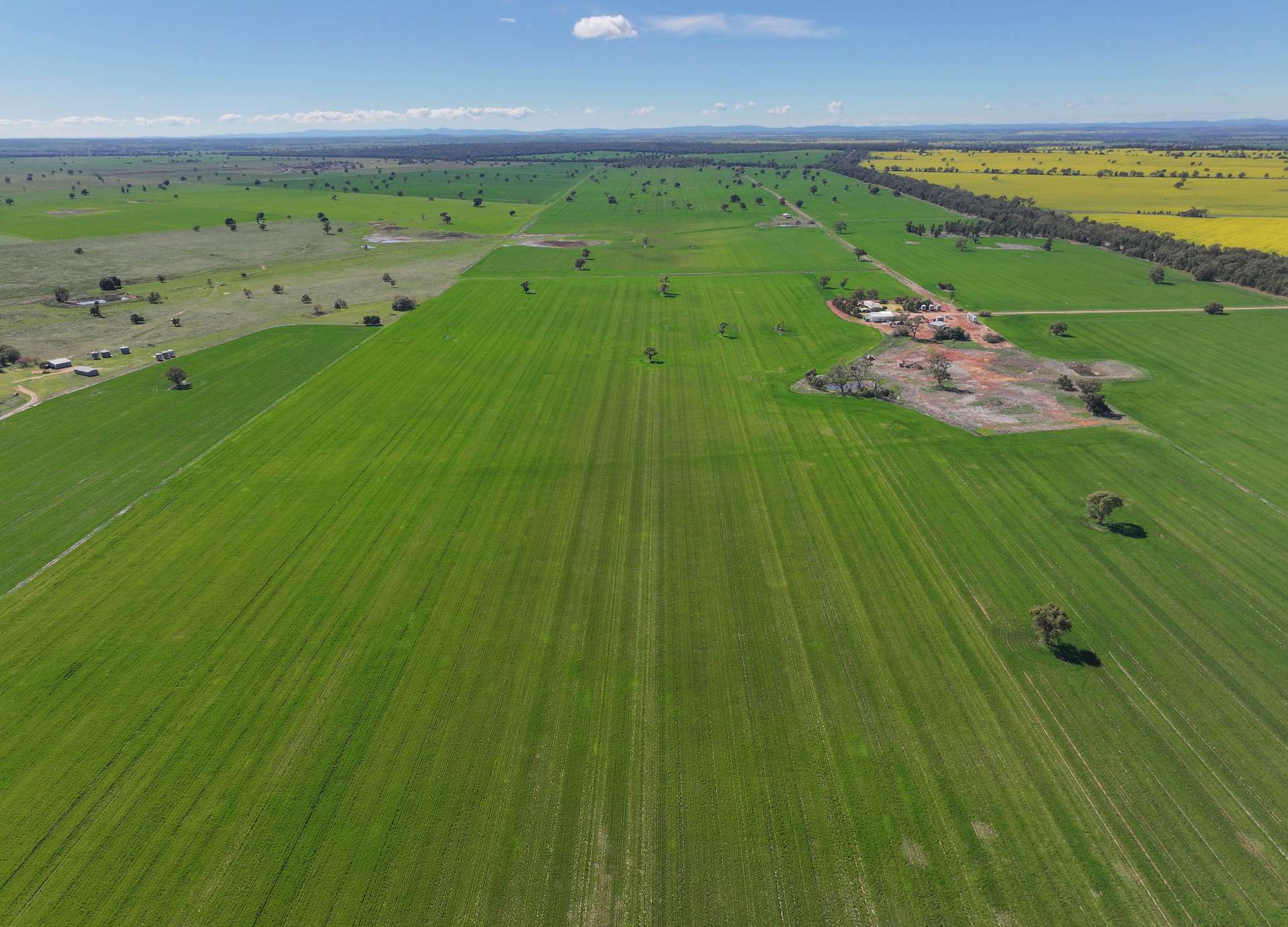 2666 Henry Parkes Way, Gunningbland For Sale by Farmbuy.com - image 21