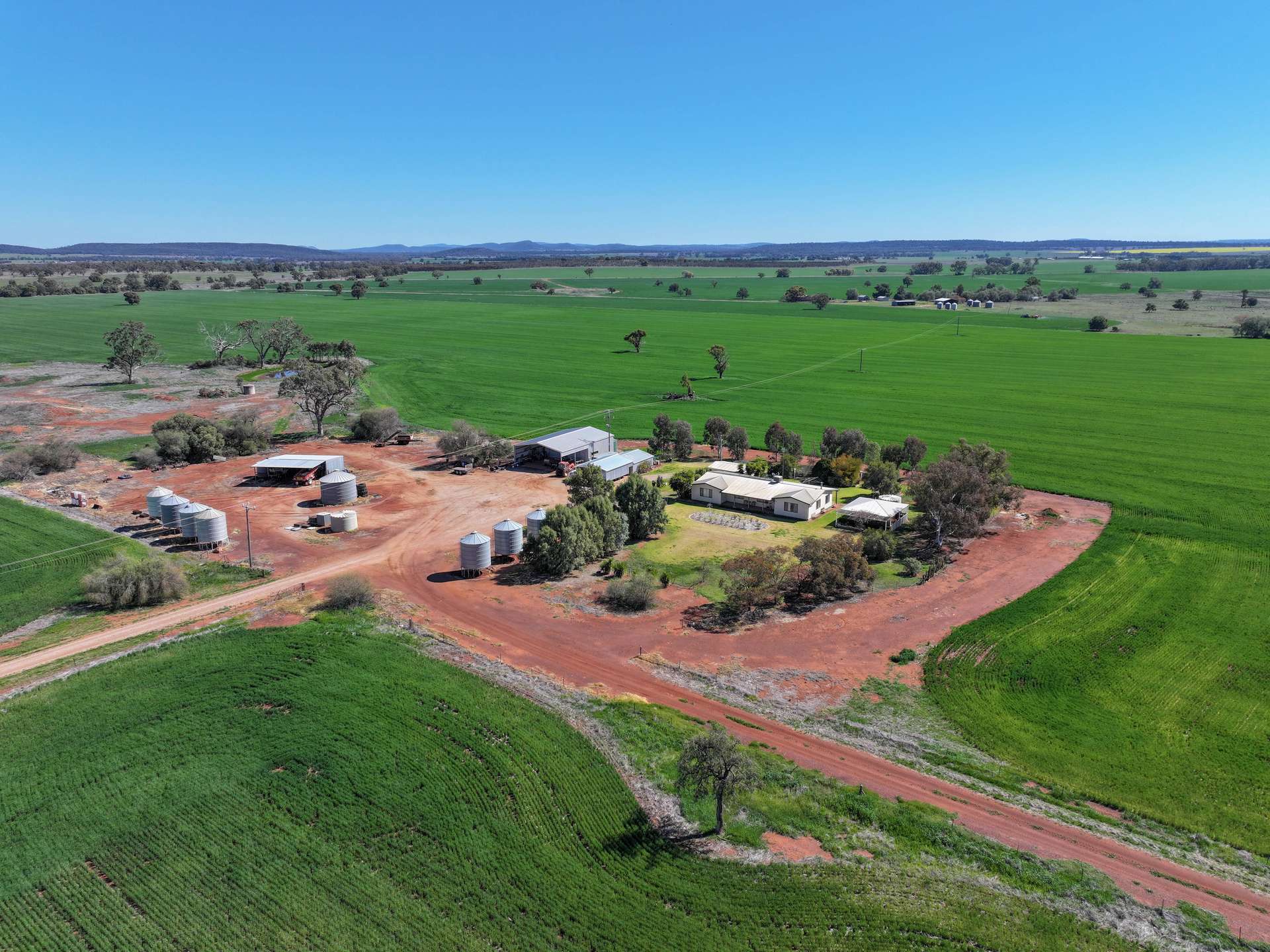 2666 Henry Parkes Way, Gunningbland For Sale by Farmbuy.com - image 1