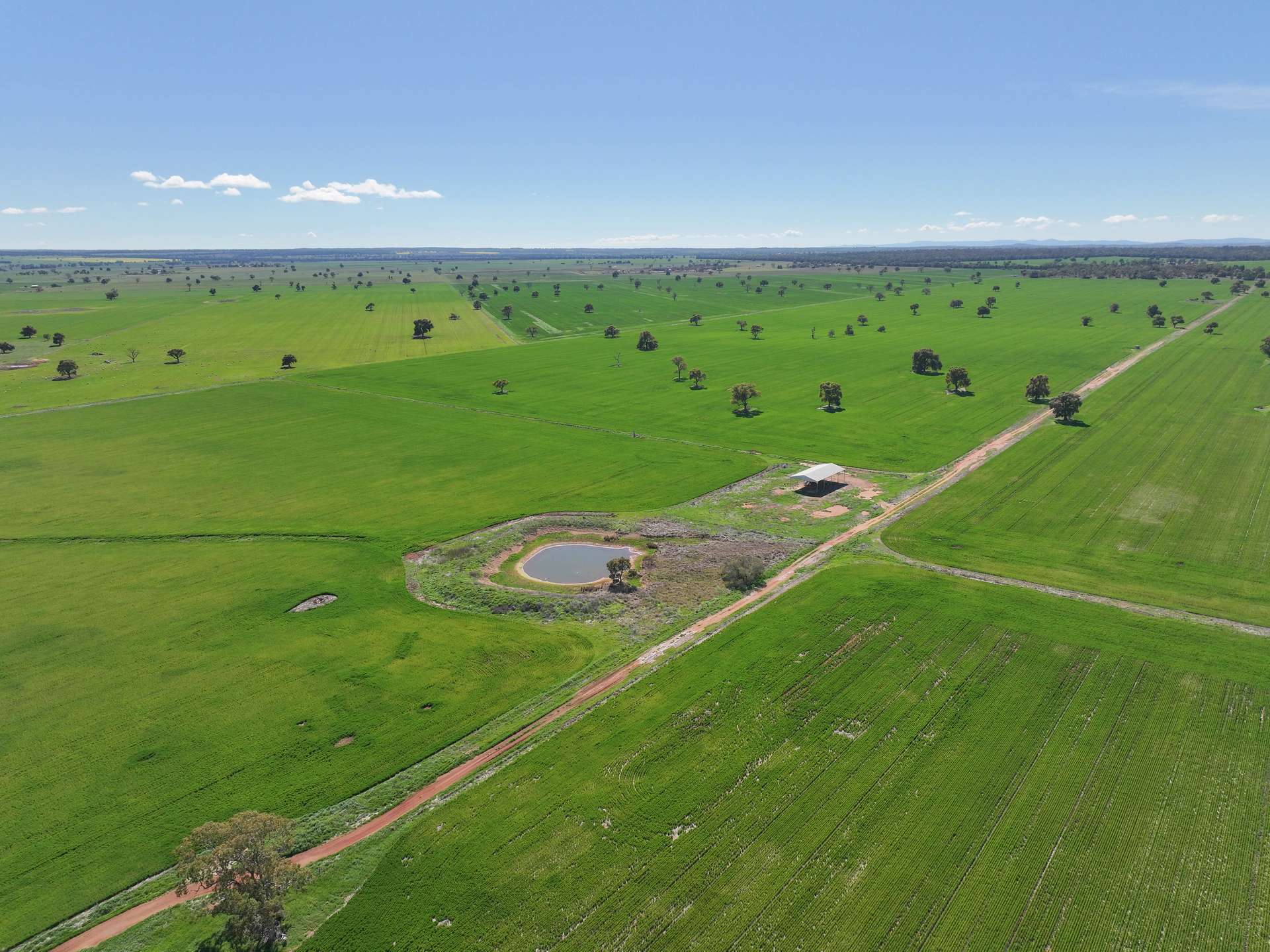 2666 Henry Parkes Way, Gunningbland For Sale by Farmbuy.com - image 19