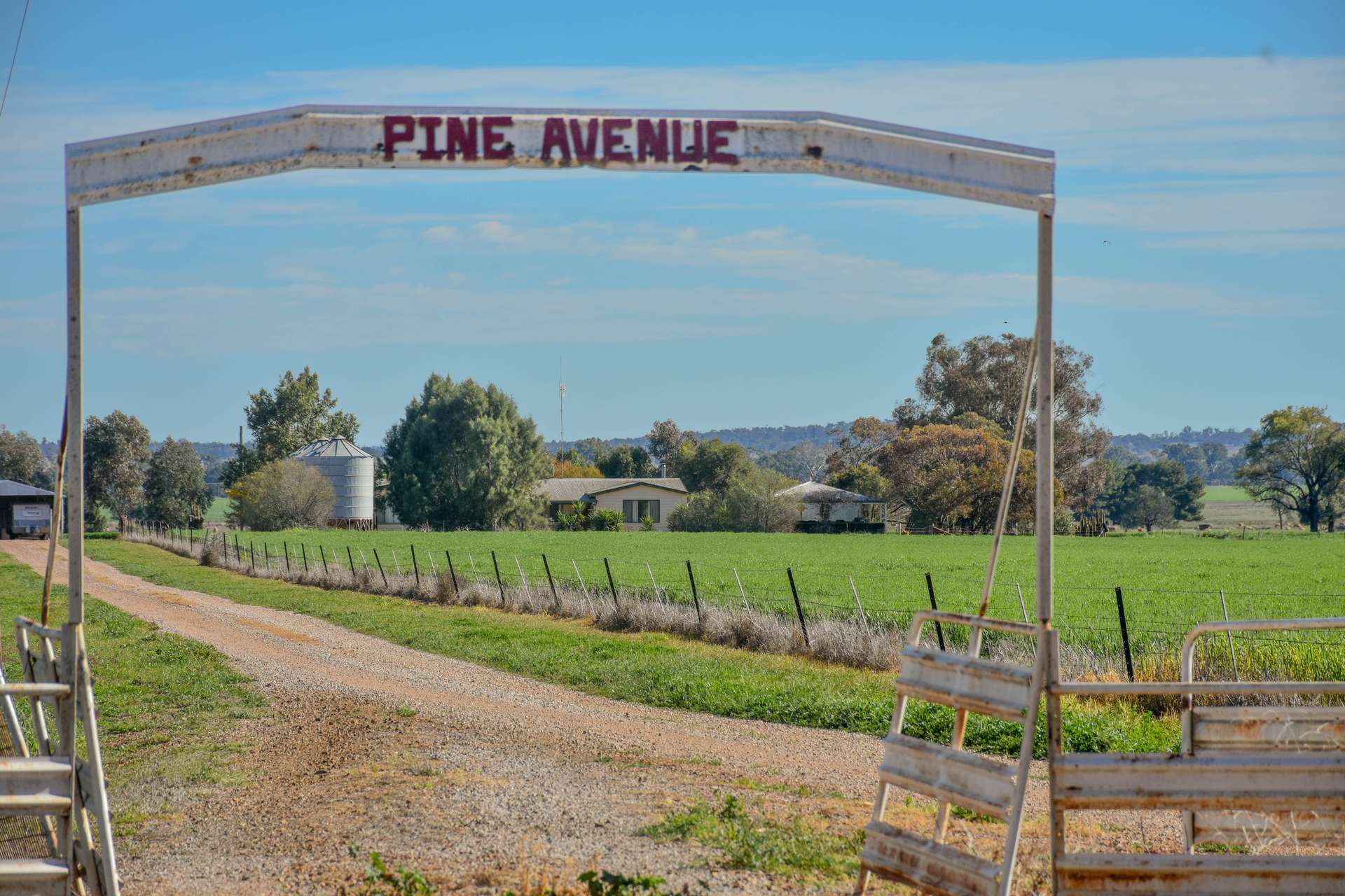 2666 Henry Parkes Way, Gunningbland For Sale by Farmbuy.com - image 28