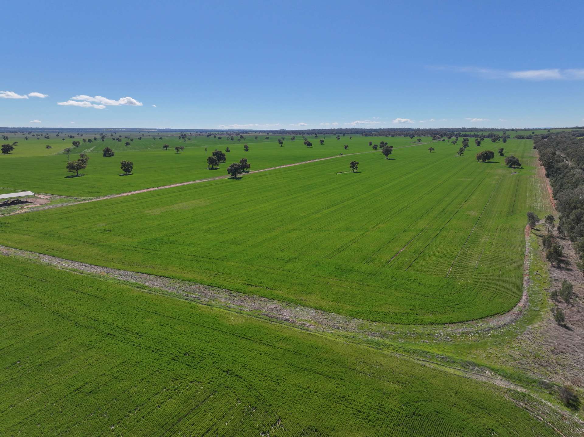 2666 Henry Parkes Way, Gunningbland For Sale by Farmbuy.com - image 20