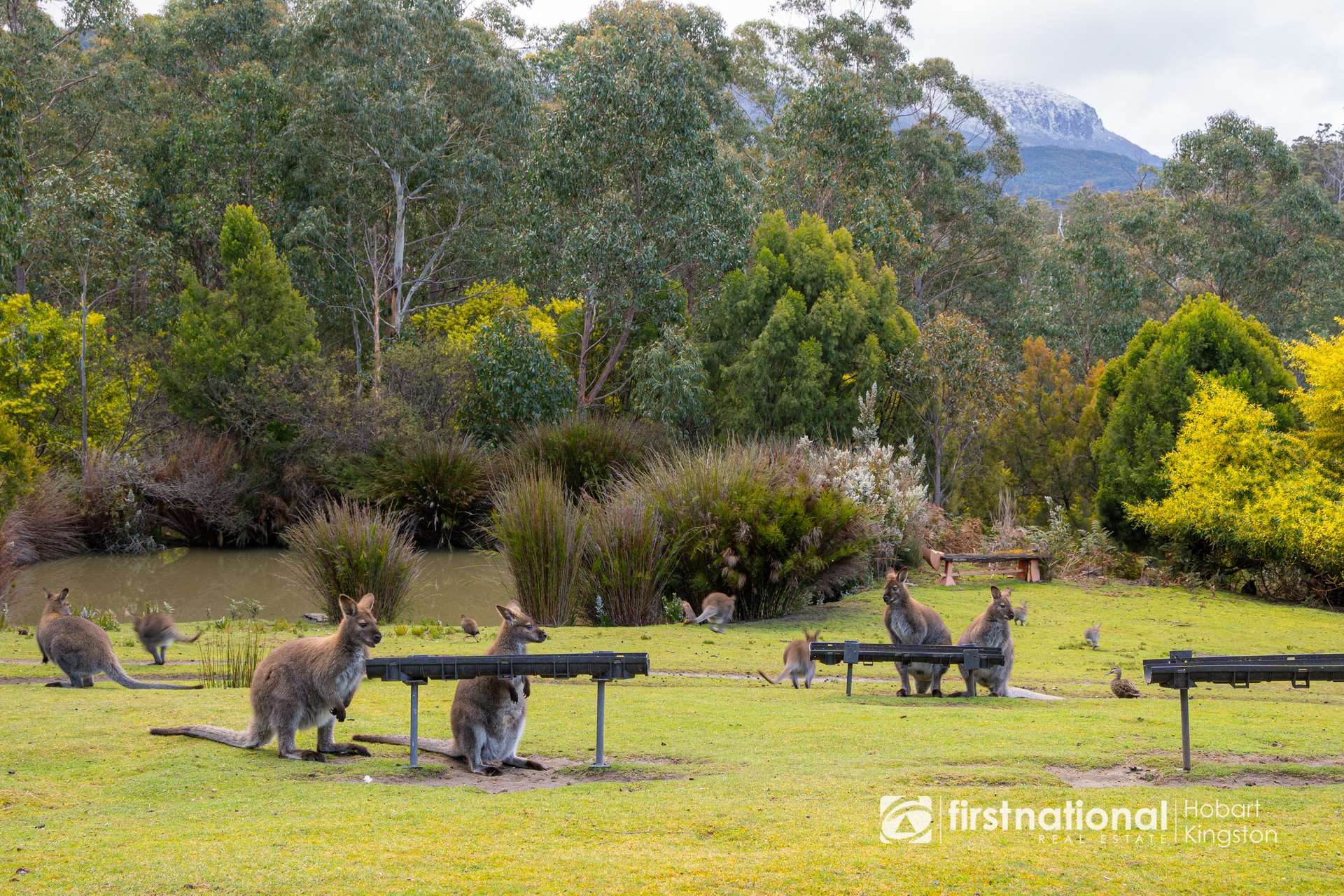 60 Old Summerleas Road, Kingston For Sale by Farmbuy.com - image 33