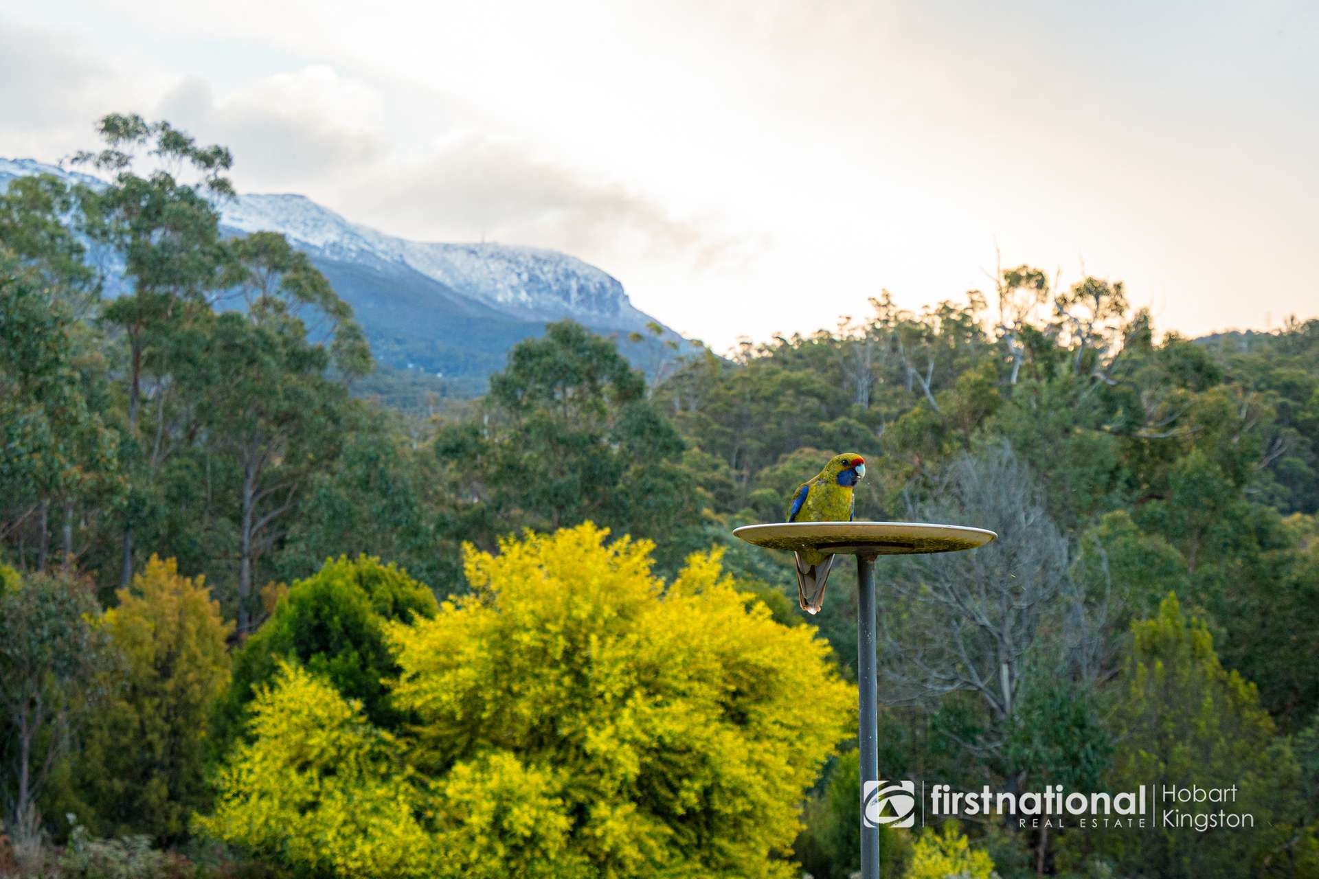 60 Old Summerleas Road, Kingston For Sale by Farmbuy.com - image 34