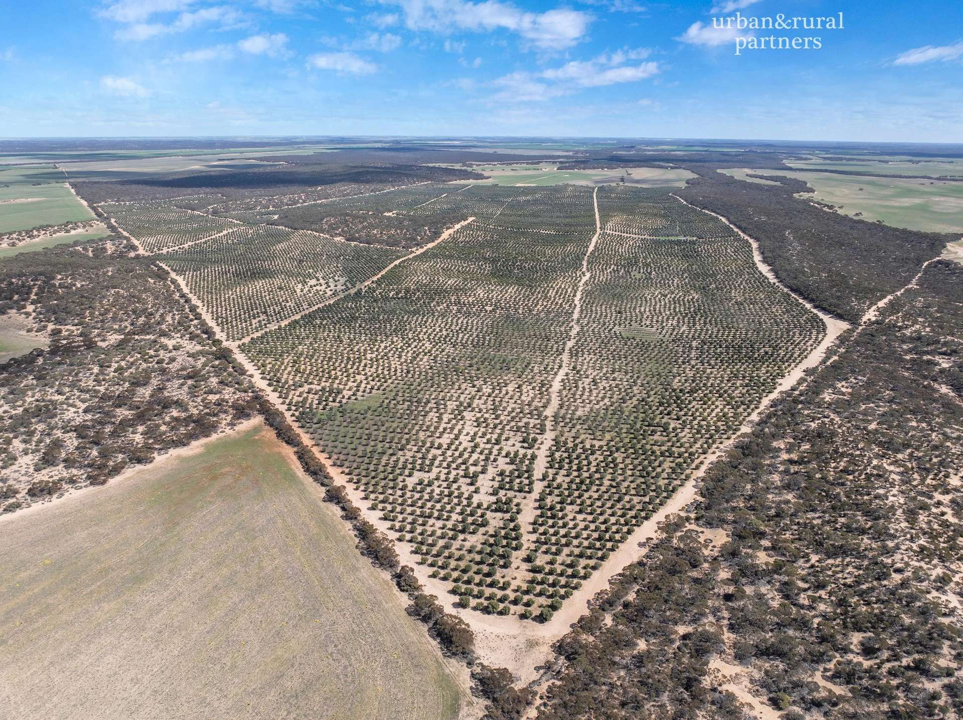 1575 Kringin Road, Karte For Sale by Farmbuy.com - image 7
