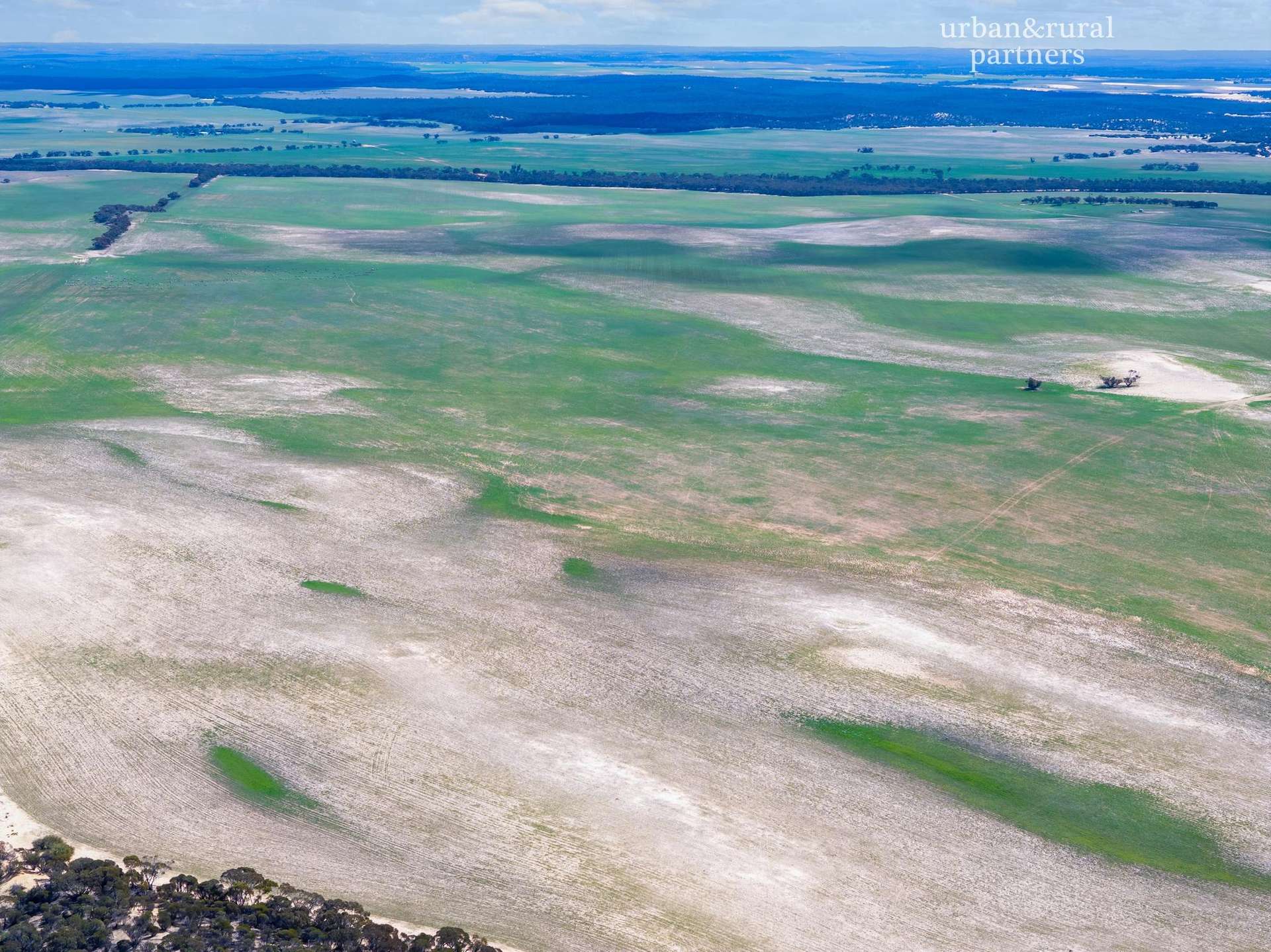 1575 Kringin Road, Karte For Sale by Farmbuy.com - image 9