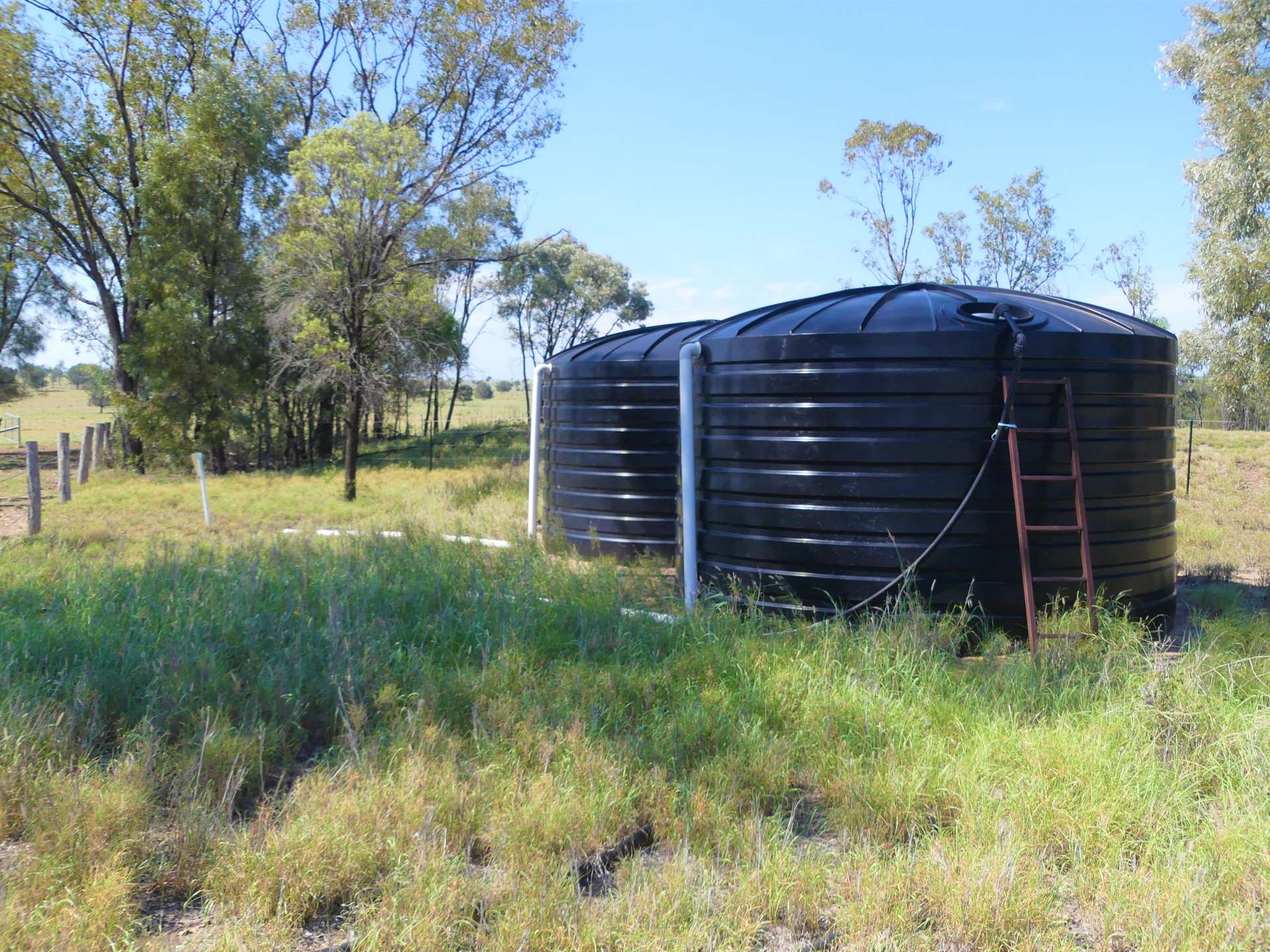 'Omeo' 1183 Westgrove Road, Injune Sold by Farmbuy.com - image 23