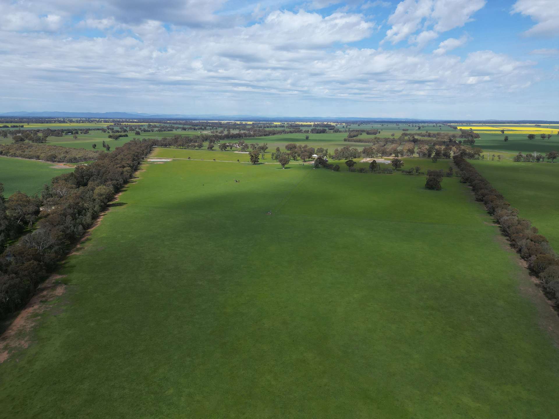 'Burnside' 1009 Howlong-Balldale Road, Balldale Sold by Farmbuy.com - image 20