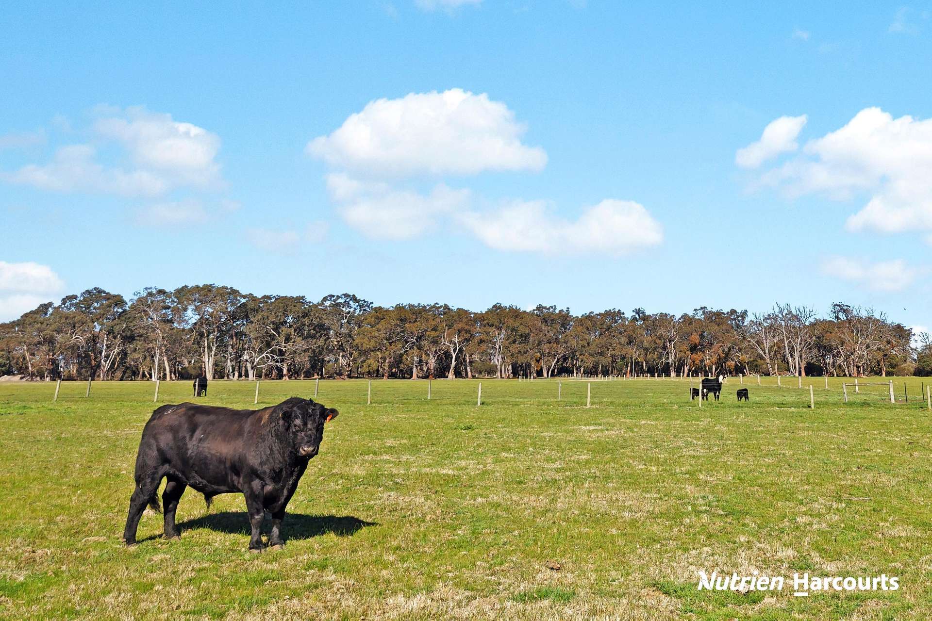 230 Old Sale Road, Yarram For Sale by Farmbuy.com - image 26