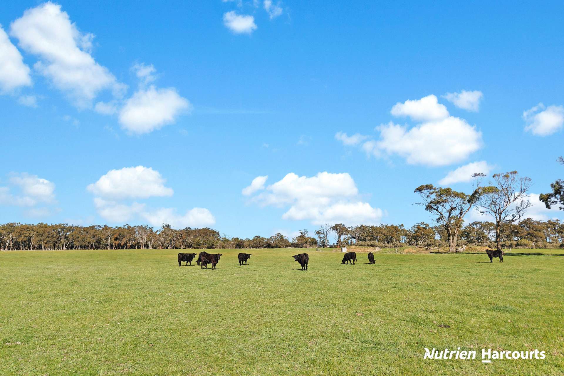 230 Old Sale Road, Yarram For Sale by Farmbuy.com - image 25