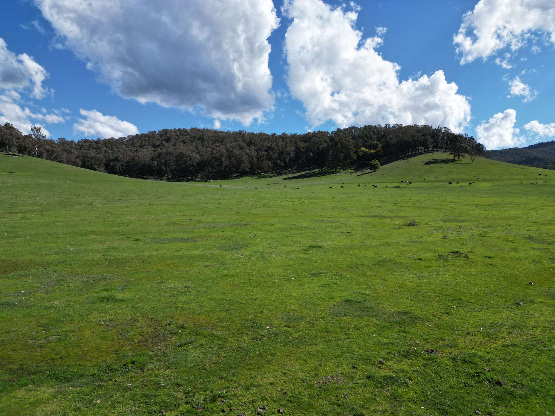 'Eastmore' 1177 Callaghan Creek Road, Mitta Mitta Sold by Farmbuy.com - image 9