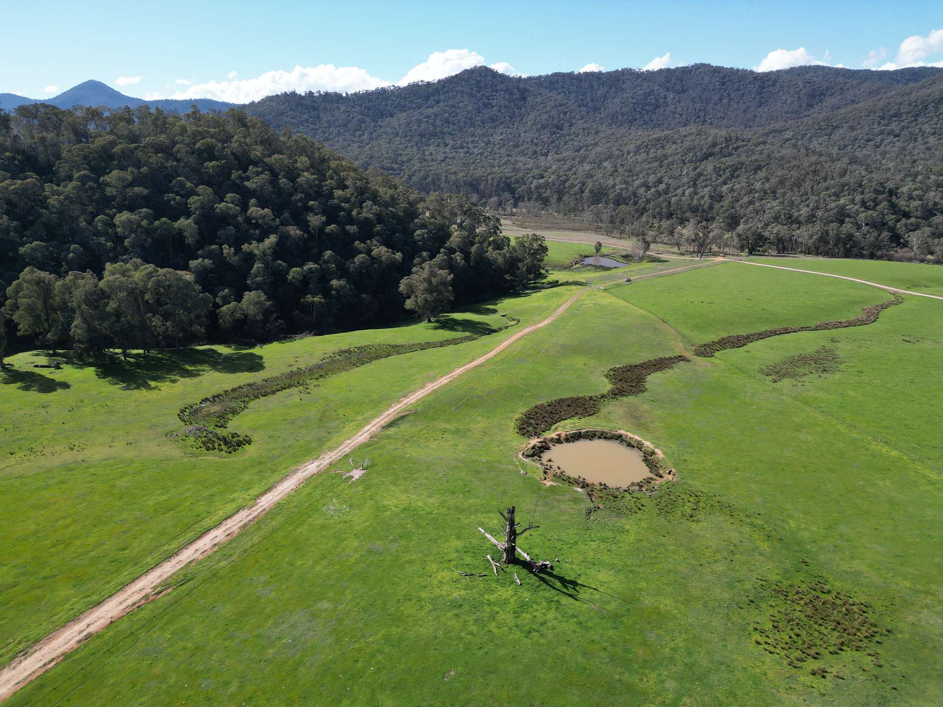 'Eastmore' 1177 Callaghan Creek Road, Mitta Mitta Sold by Farmbuy.com - image 26