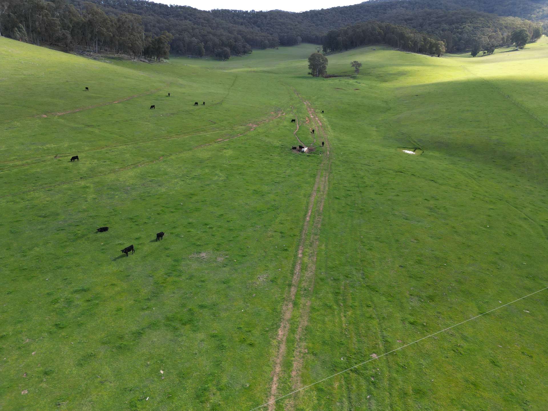'Eastmore' 1177 Callaghan Creek Road, Mitta Mitta Sold by Farmbuy.com - image 11