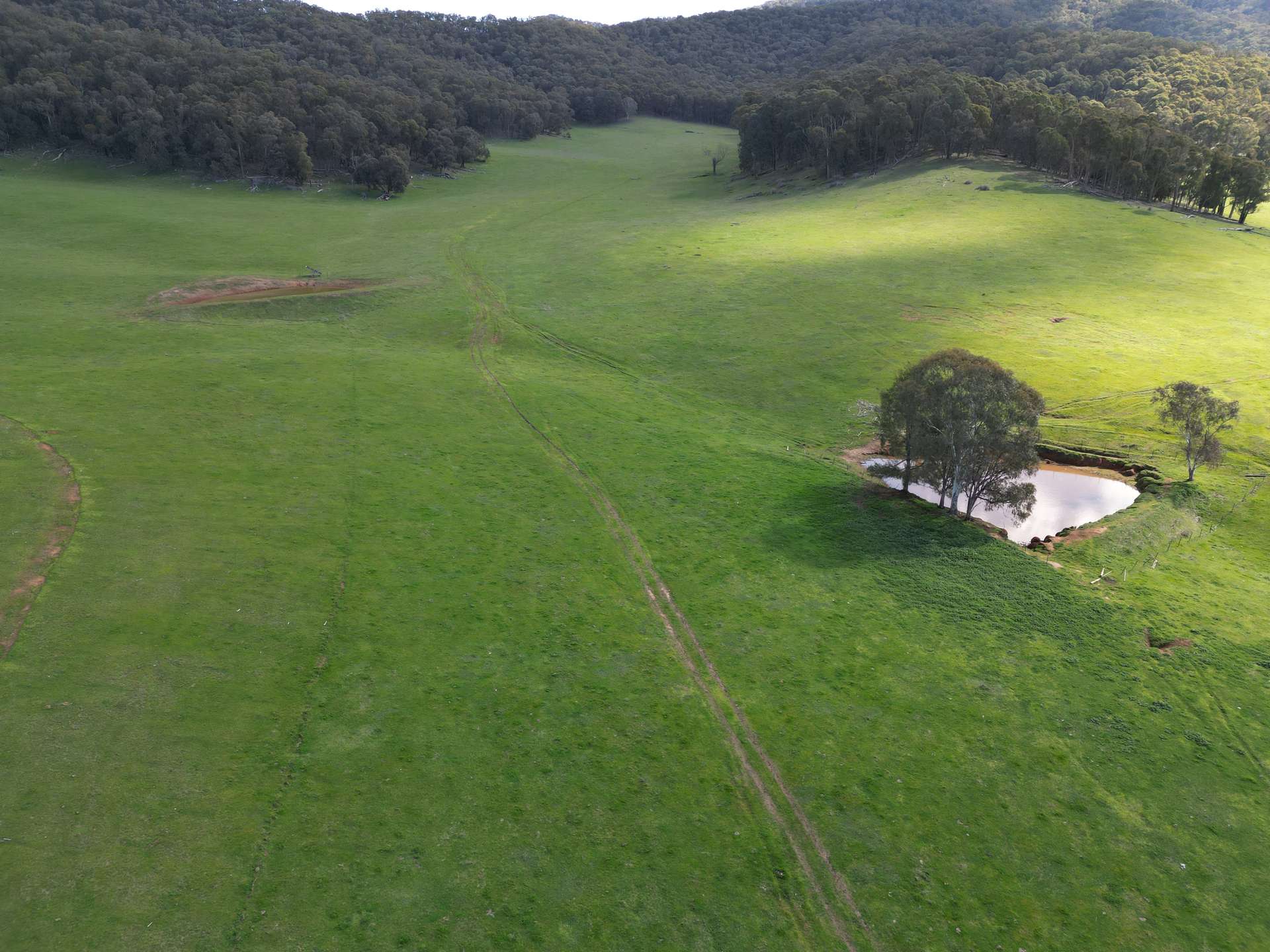 'Eastmore' 1177 Callaghan Creek Road, Mitta Mitta Sold by Farmbuy.com - image 6