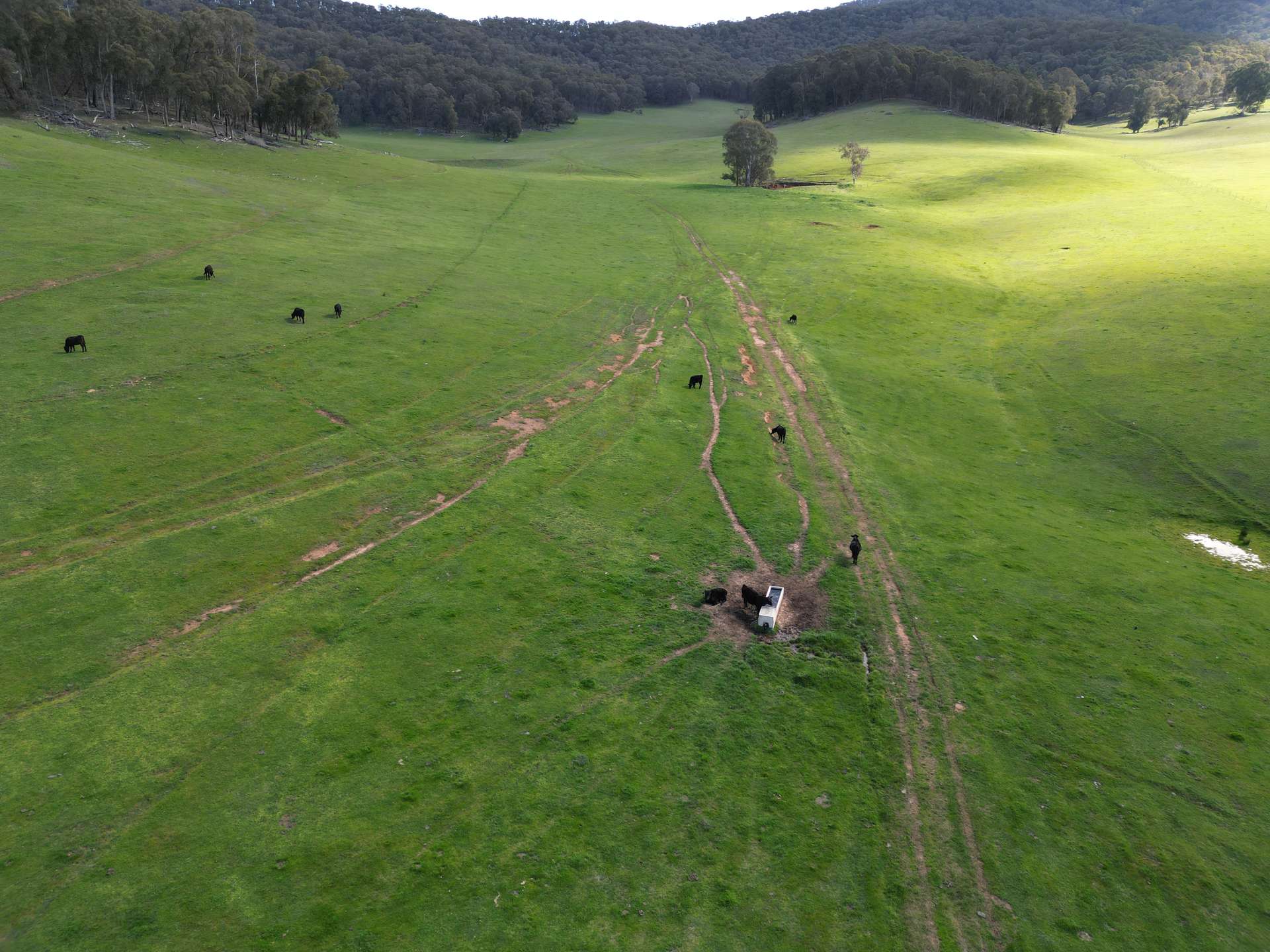'Eastmore' 1177 Callaghan Creek Road, Mitta Mitta Sold by Farmbuy.com - image 16