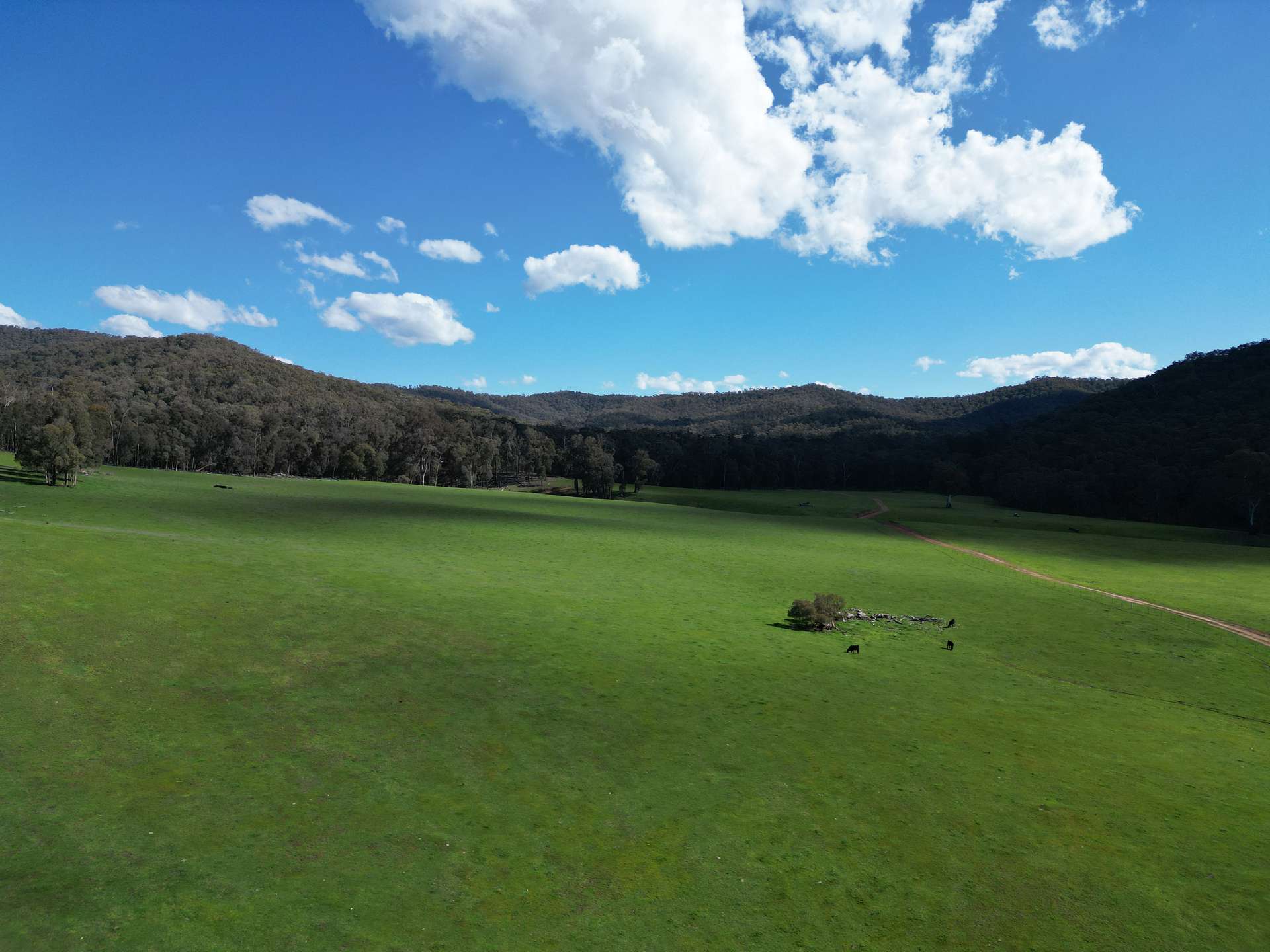 'Eastmore' 1177 Callaghan Creek Road, Mitta Mitta Sold by Farmbuy.com - image 20