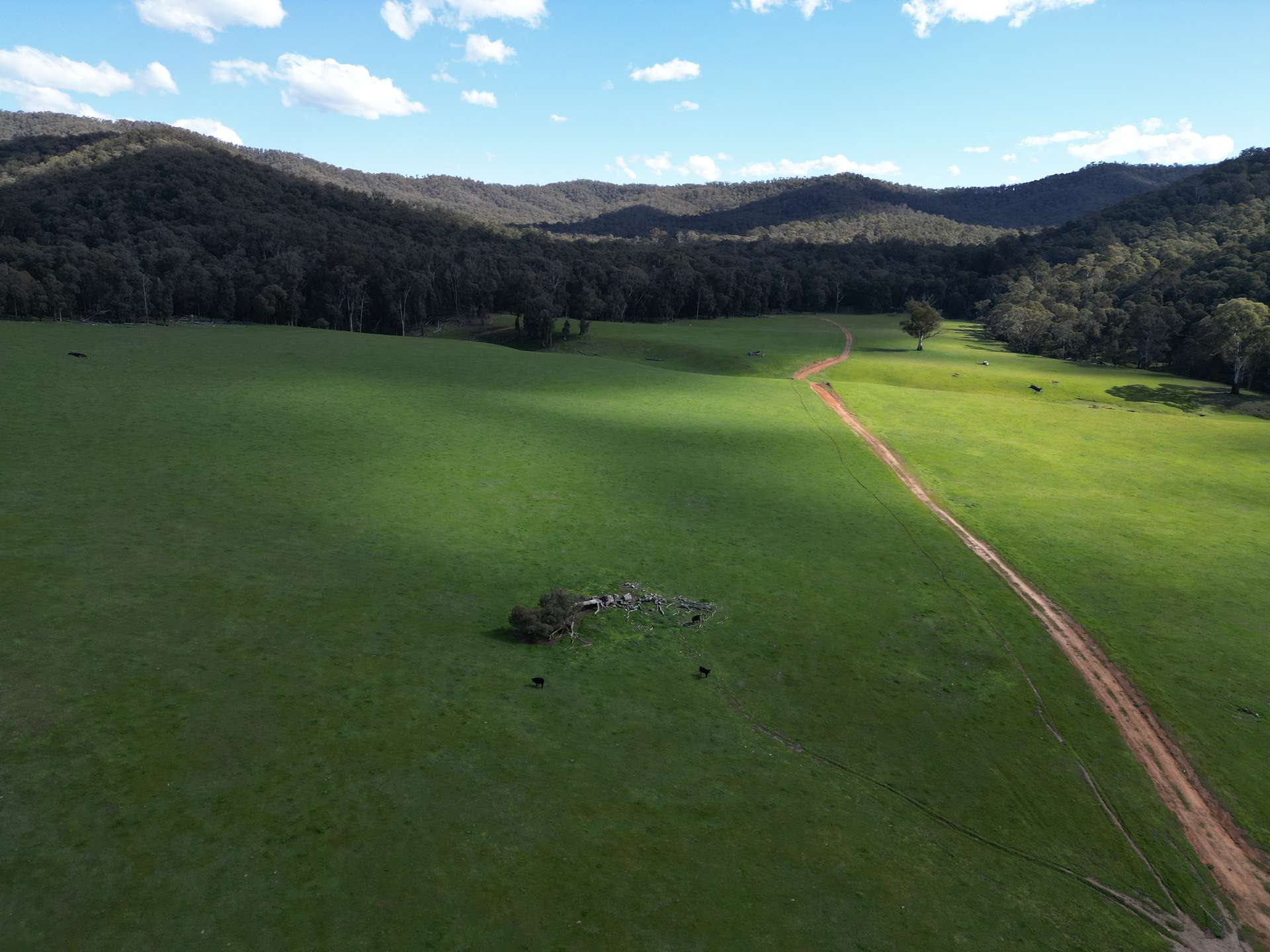'Eastmore' 1177 Callaghan Creek Road, Mitta Mitta Sold by Farmbuy.com - image 23