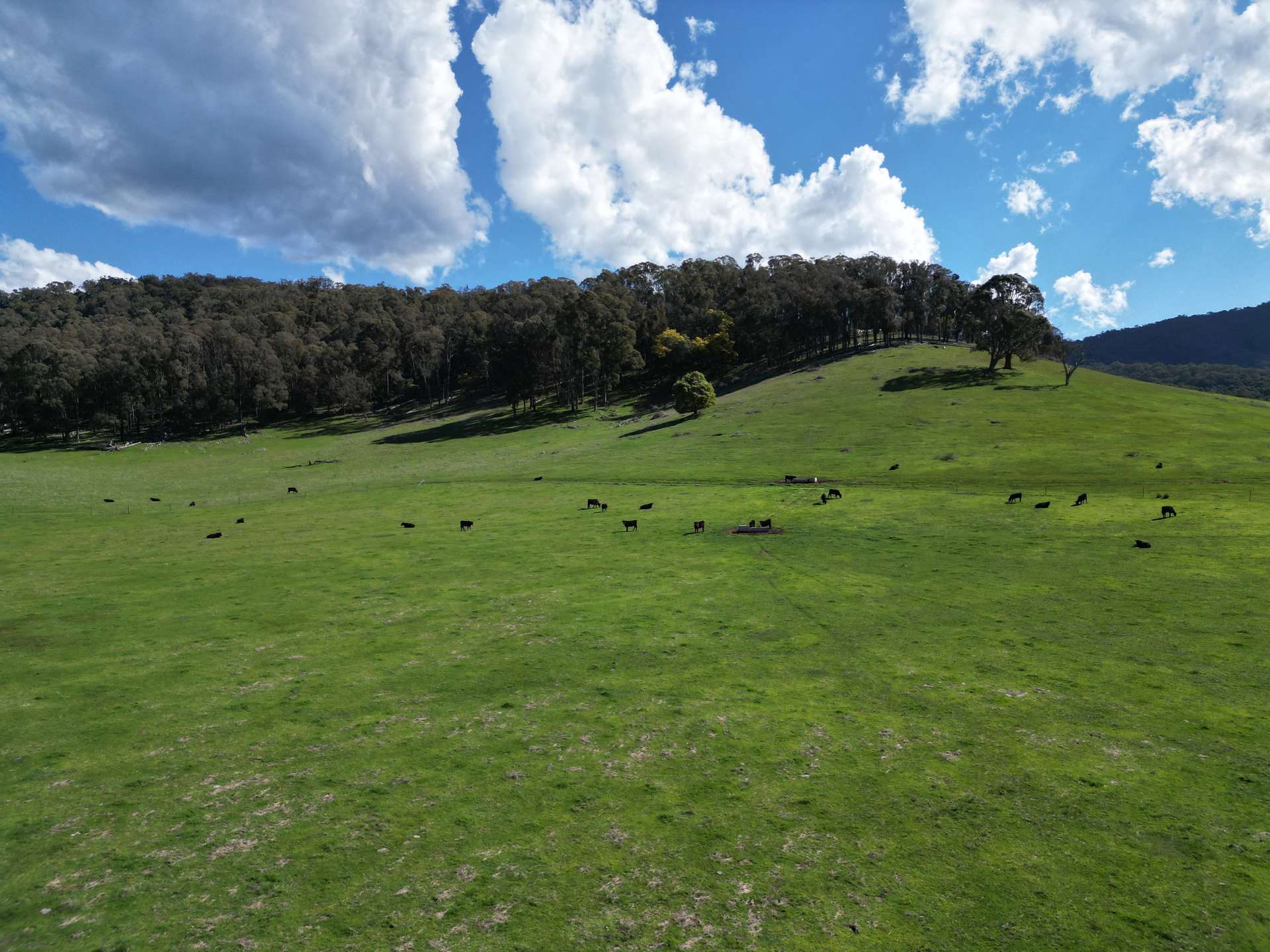 'Eastmore' 1177 Callaghan Creek Road, Mitta Mitta Sold by Farmbuy.com - image 13