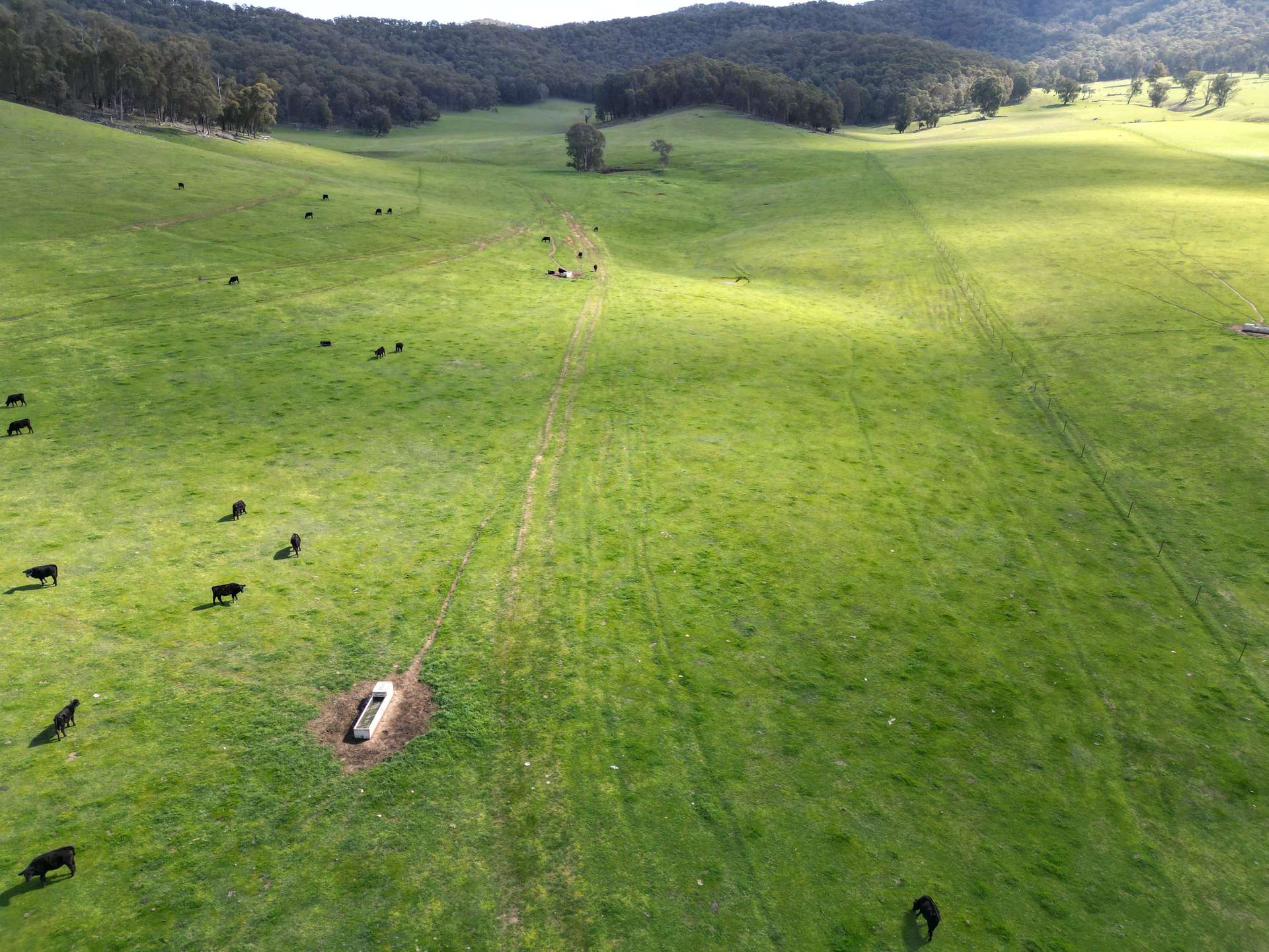 'Eastmore' 1177 Callaghan Creek Road, Mitta Mitta Sold by Farmbuy.com - image 12