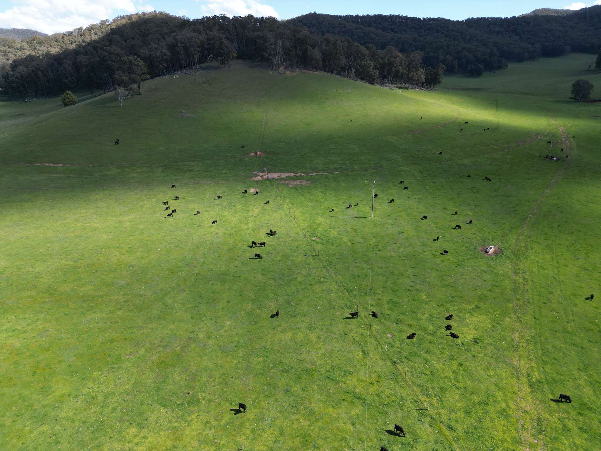 'Eastmore' 1177 Callaghan Creek Road, Mitta Mitta Sold by Farmbuy.com - image 10
