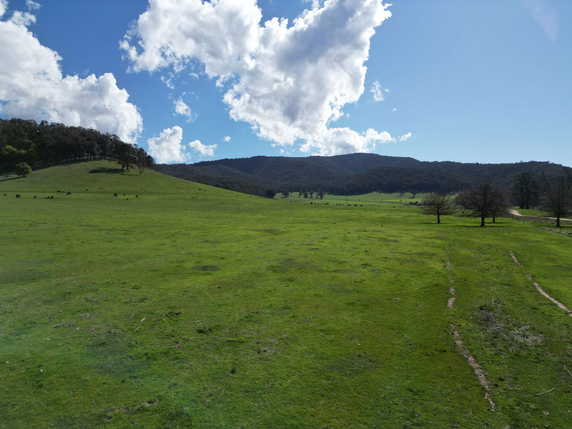 'Eastmore' 1177 Callaghan Creek Road, Mitta Mitta Sold by Farmbuy.com - image 8