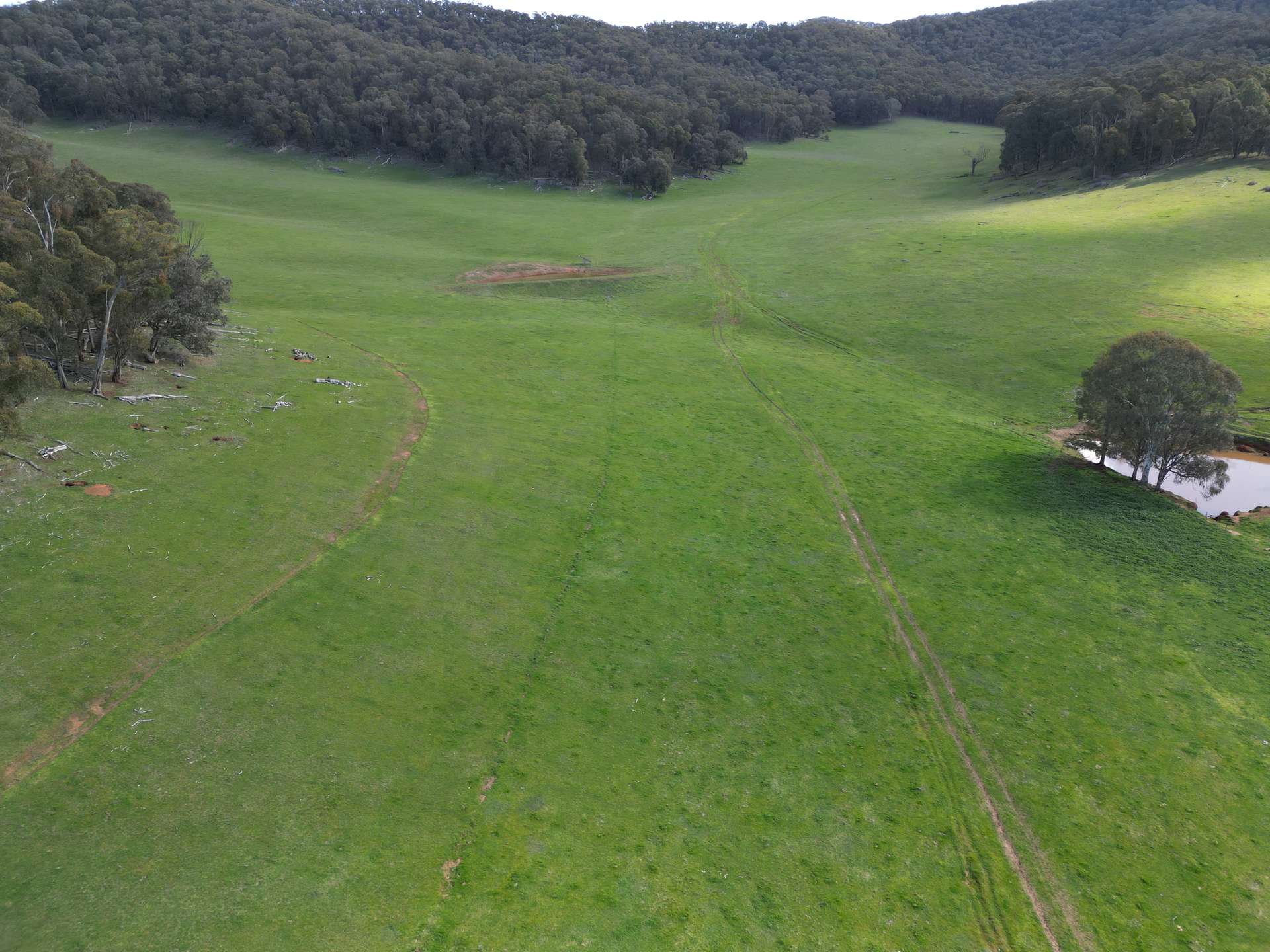 'Eastmore' 1177 Callaghan Creek Road, Mitta Mitta Sold by Farmbuy.com - image 5