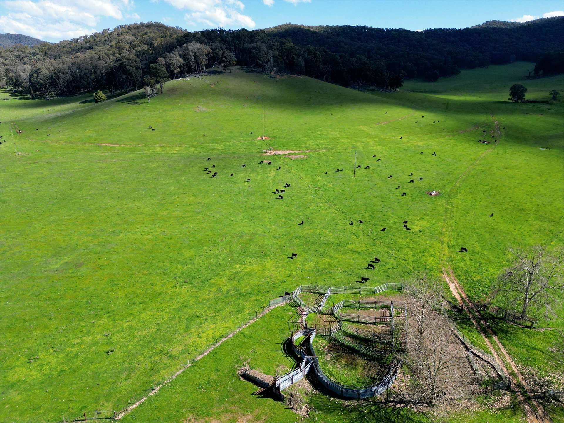 'Eastmore' 1177 Callaghan Creek Road, Mitta Mitta Sold by Farmbuy.com - image 1