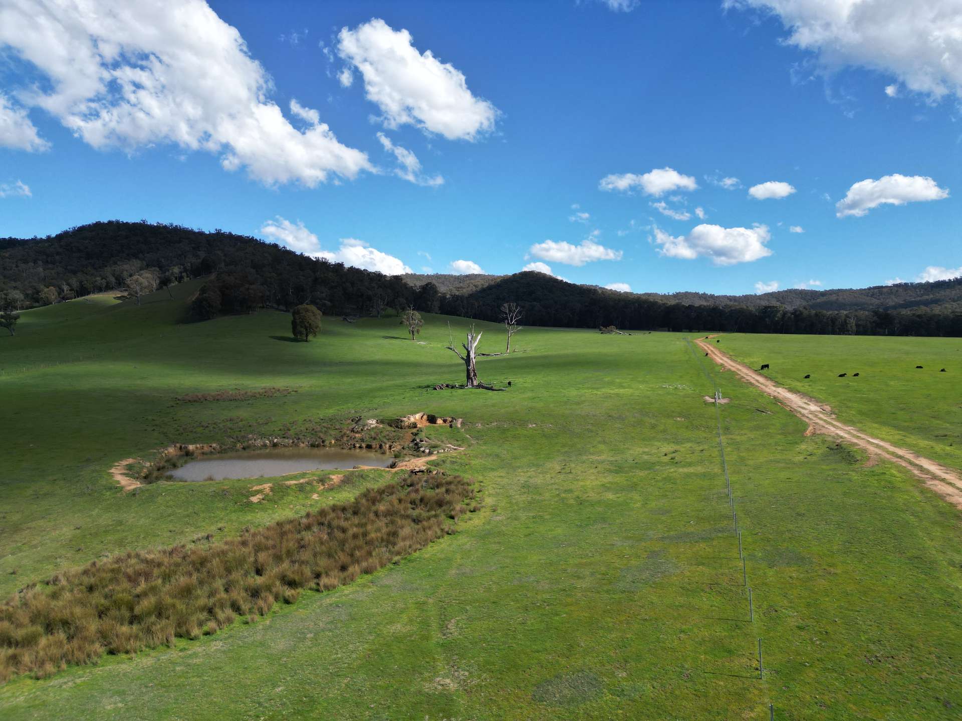 'Eastmore' 1177 Callaghan Creek Road, Mitta Mitta Sold by Farmbuy.com - image 21