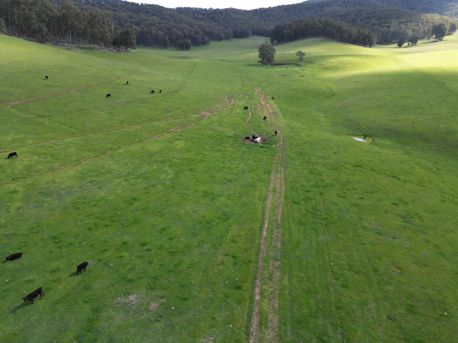 'Eastmore' 1177 Callaghan Creek Road, Mitta Mitta Sold by Farmbuy.com - image 15