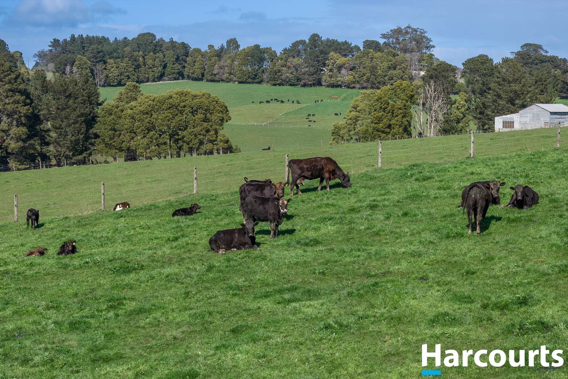 65 Findlay Road, Mardan For Sale by Farmbuy.com - image 20