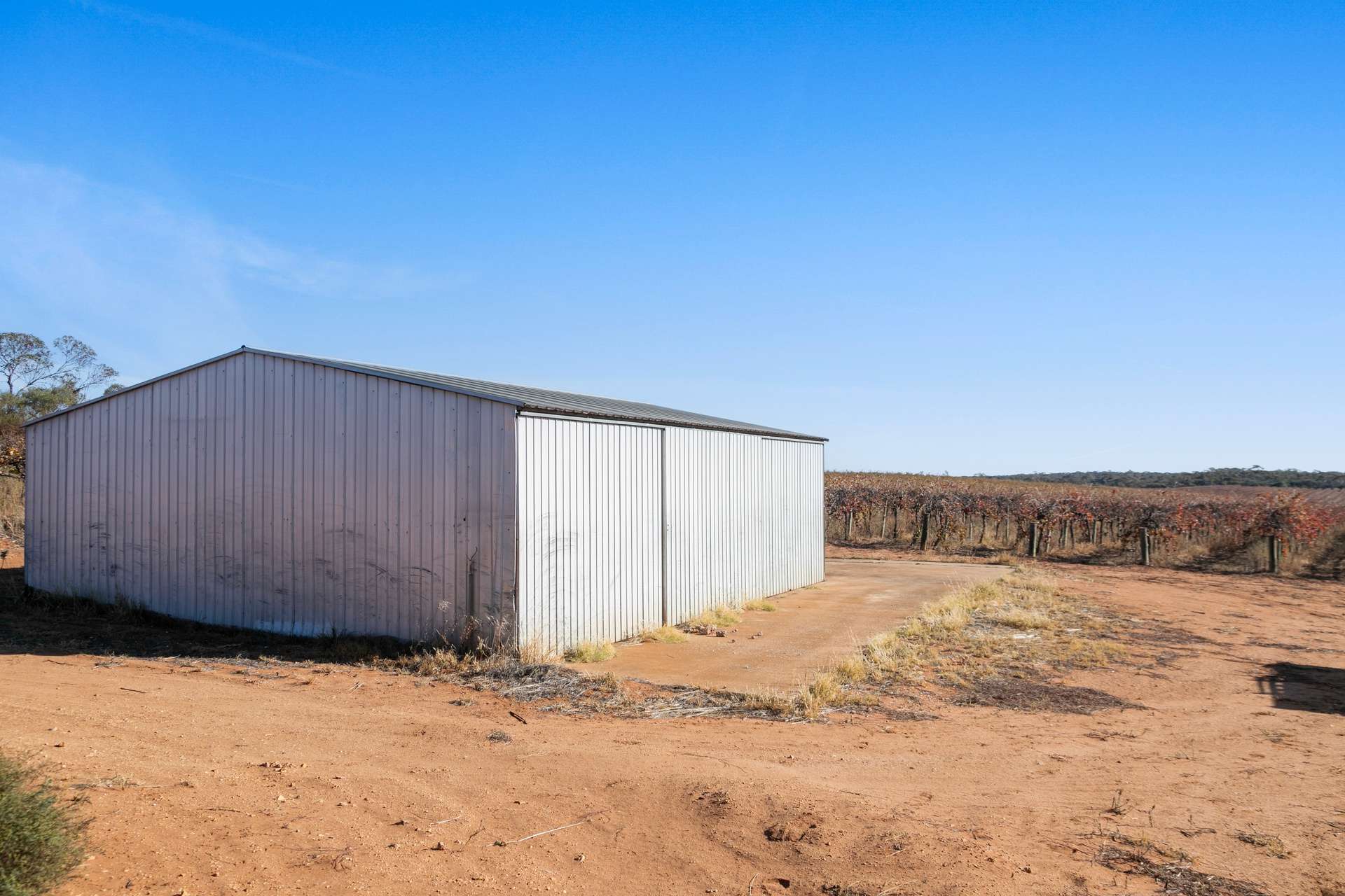 277 Winkie Road, Winkie For Sale by Farmbuy.com - image 12