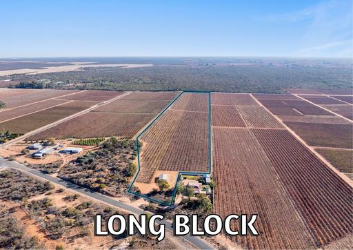 Farm Sold - SA - Glossop - 5344 - LONG BLOCK 