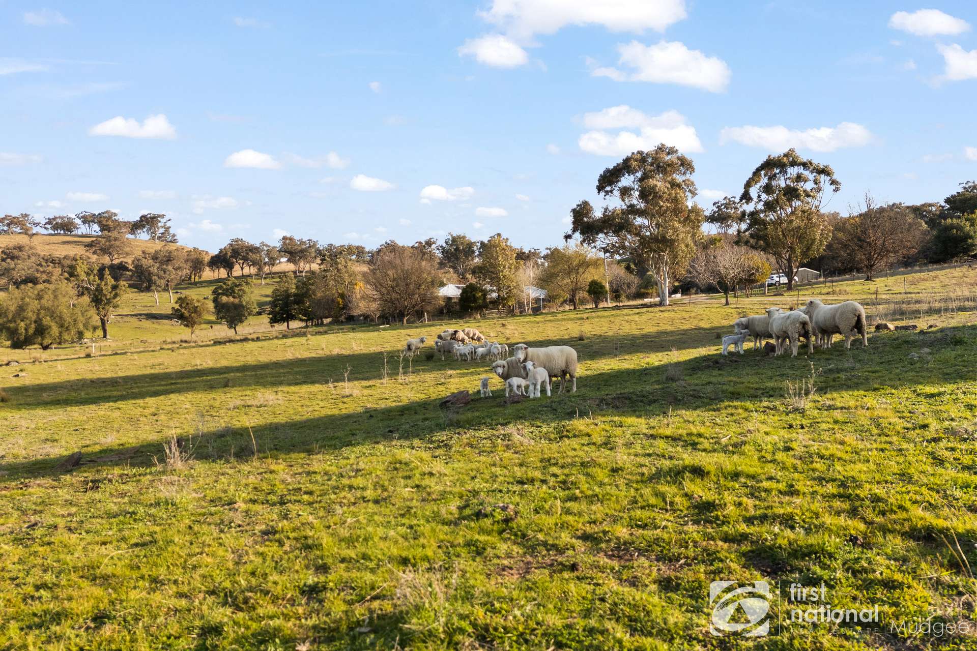 2654 "Moonshine", Lue Road, Lue, Mudgee Sold by Farmbuy.com - image 3
