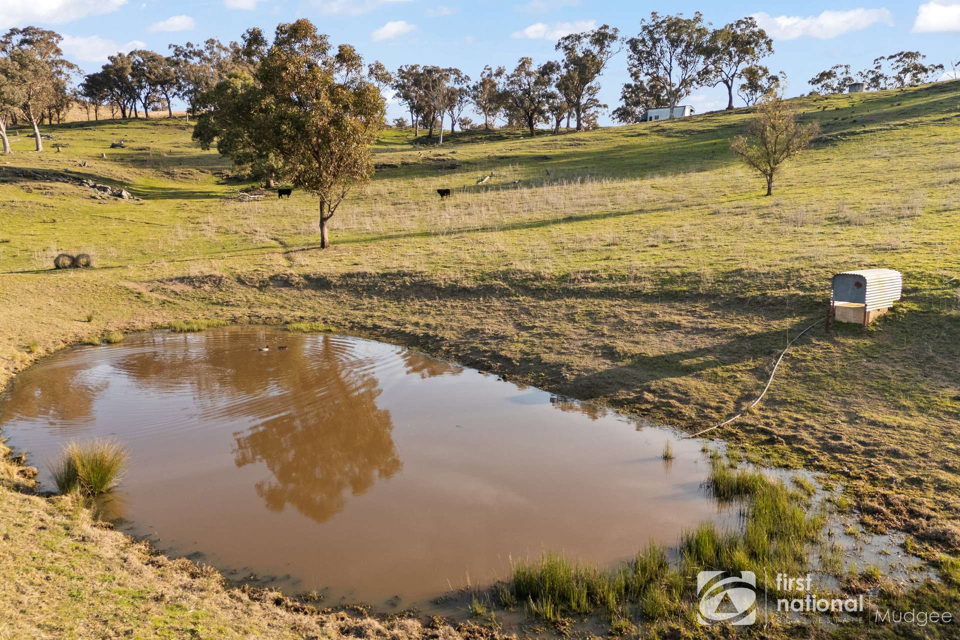 2654 "Moonshine", Lue Road, Lue, Mudgee Sold by Farmbuy.com - image 22