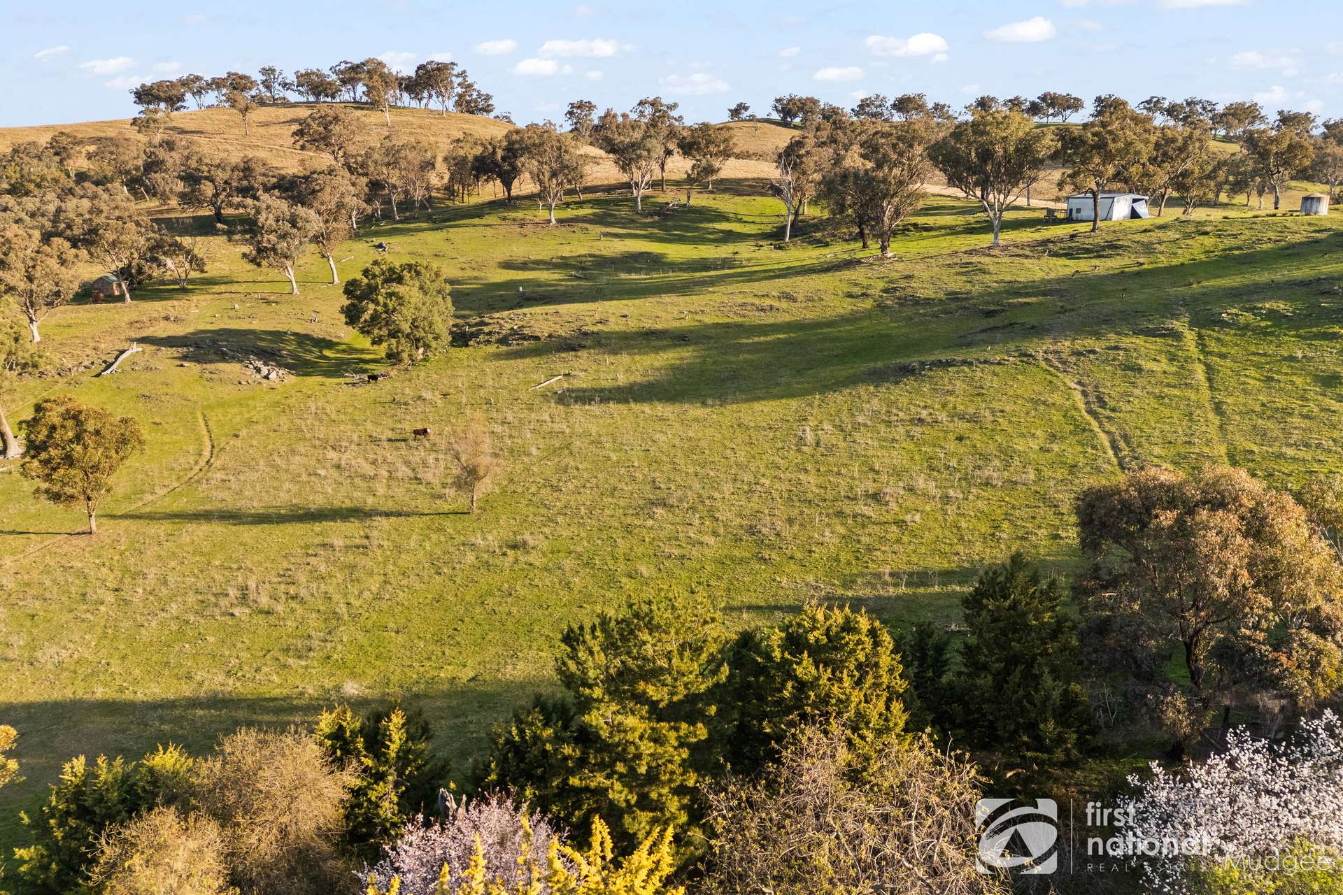 2654 "Moonshine", Lue Road, Lue, Mudgee Sold by Farmbuy.com - image 20